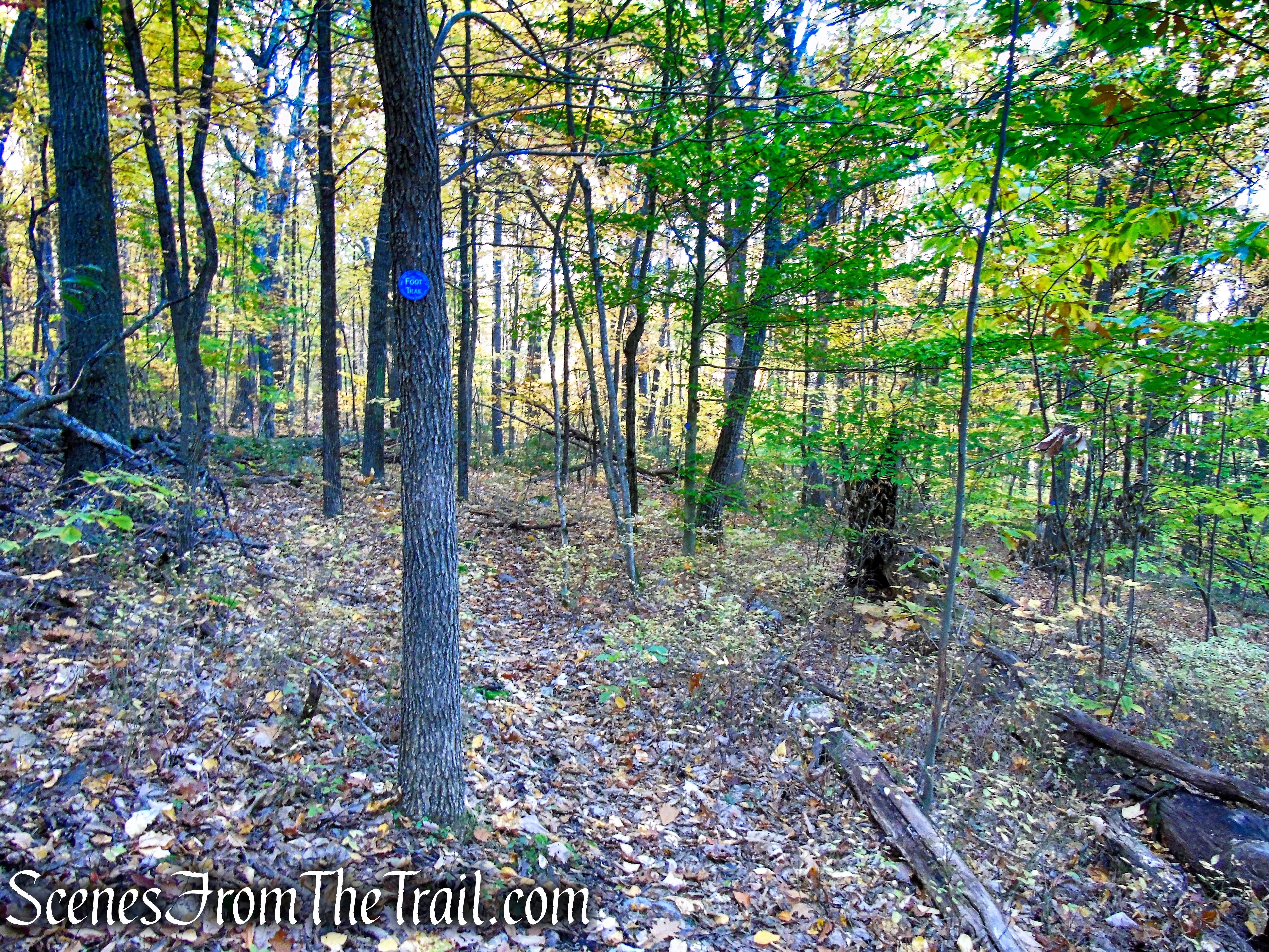Long Path/SRT - Wurtsboro Ridge State Forest