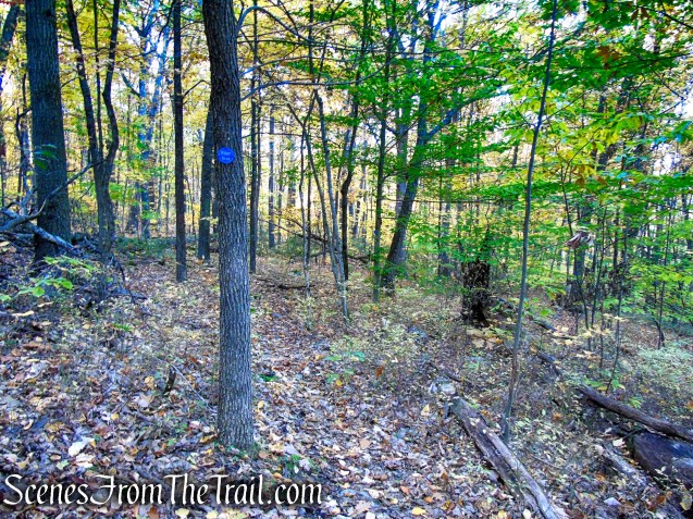 Long Path/SRT - Wurtsboro Ridge State Forest