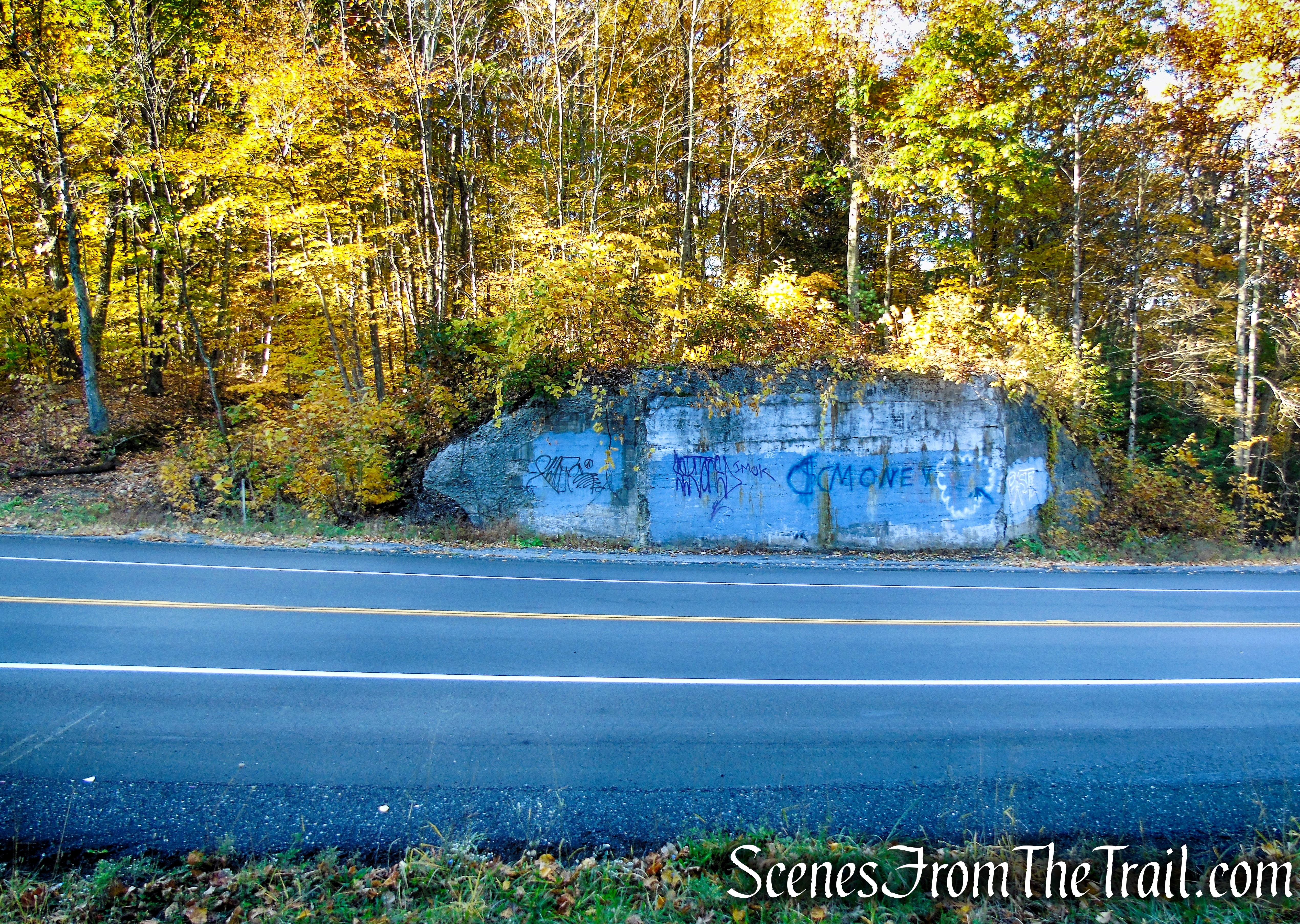 Sullivan County Route 171 - Mamakating Road