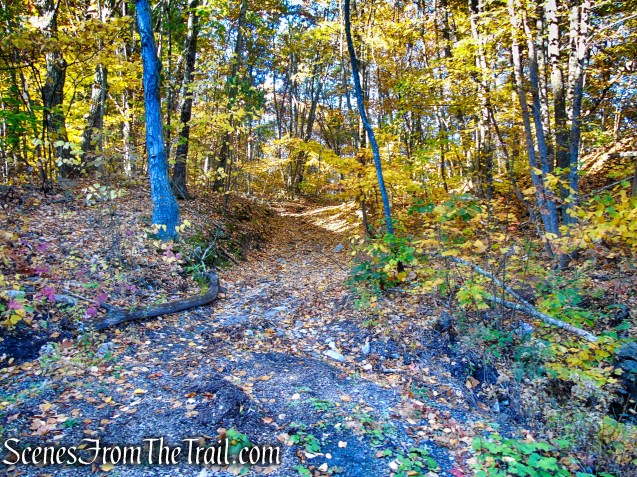 Access Road to abandoned railbed