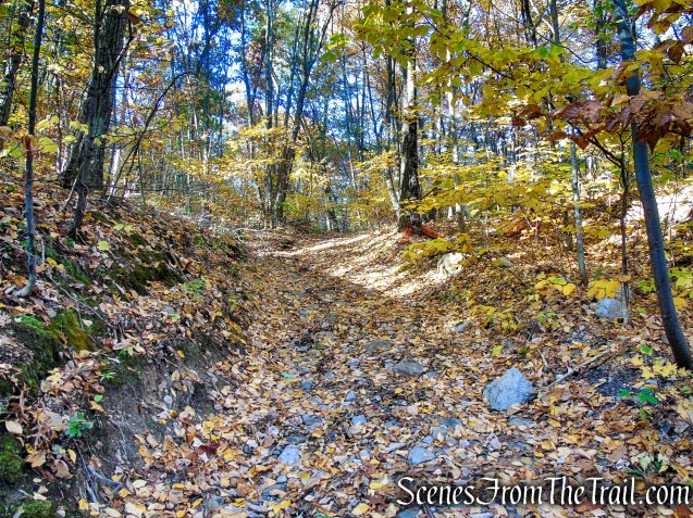 Abandoned railbed - High View Tunnel