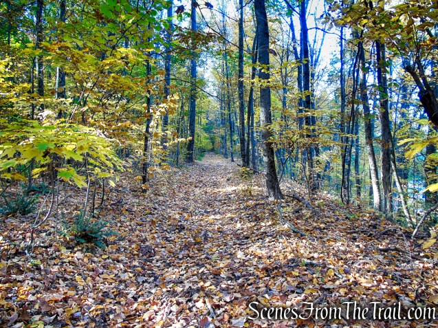 Abandoned railbed - High View Tunnel