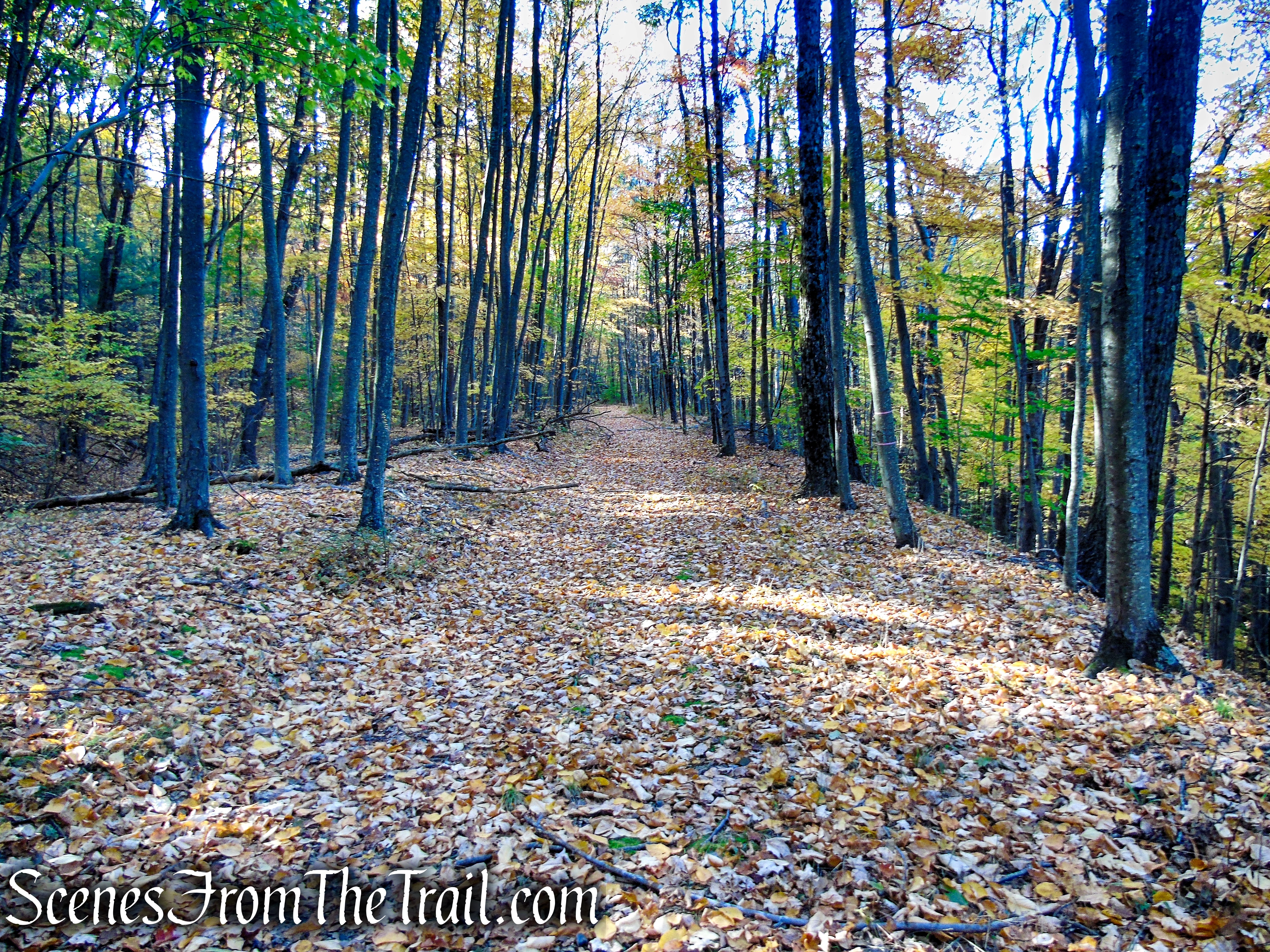 Abandoned railbed – High View Tunnel