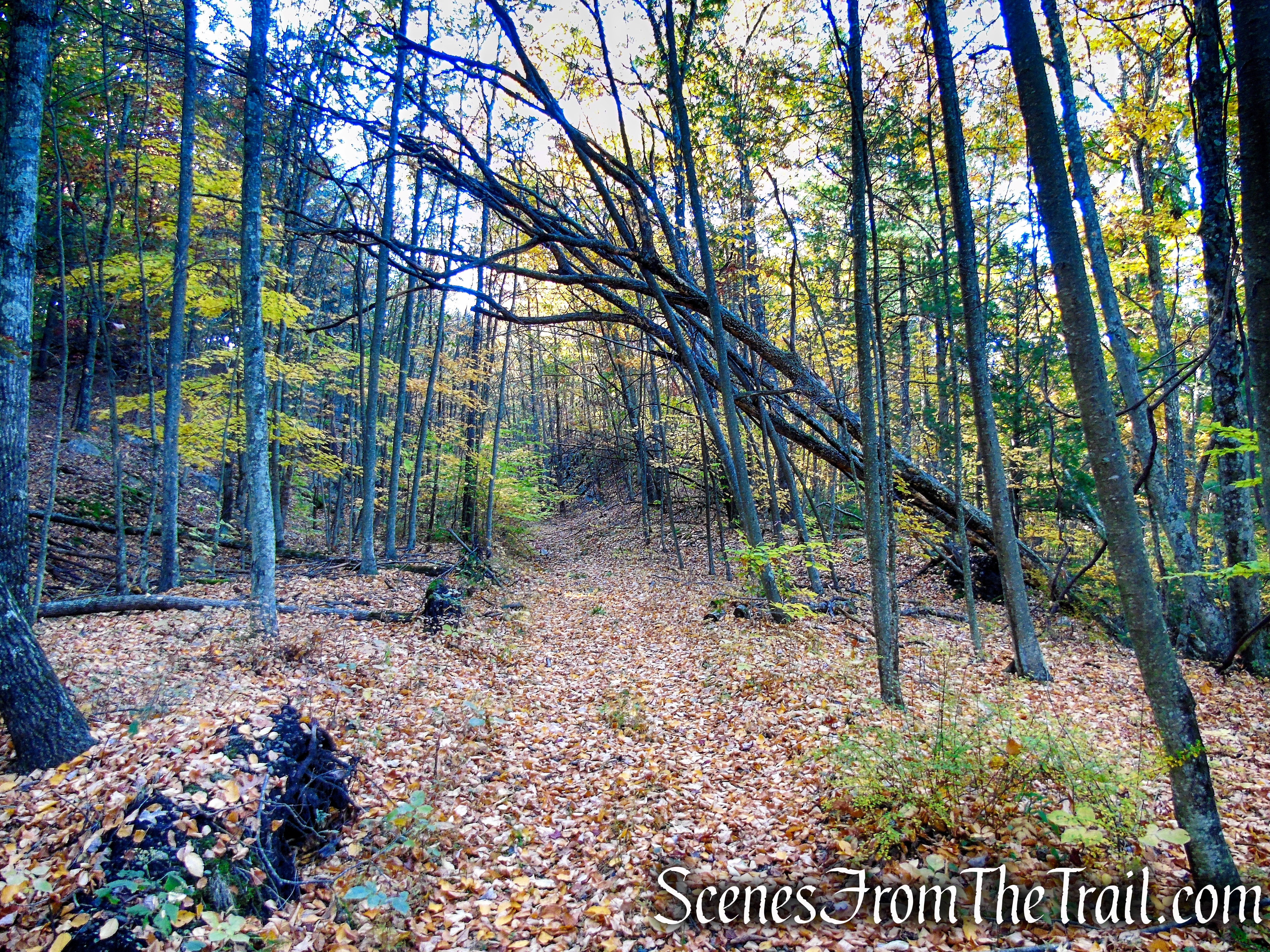 Abandoned railbed – High View Tunnel