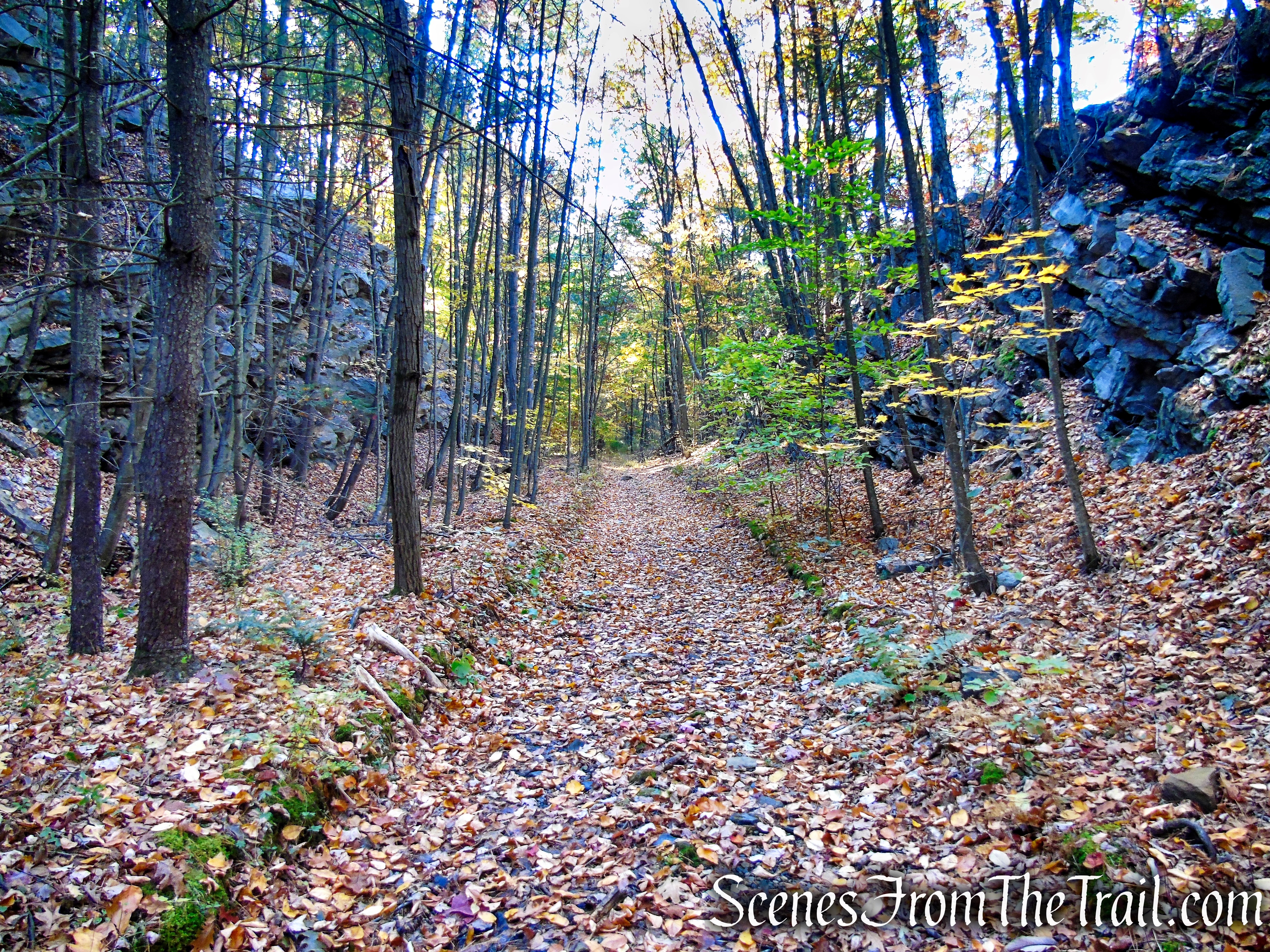 Abandoned railbed – High View Tunnel