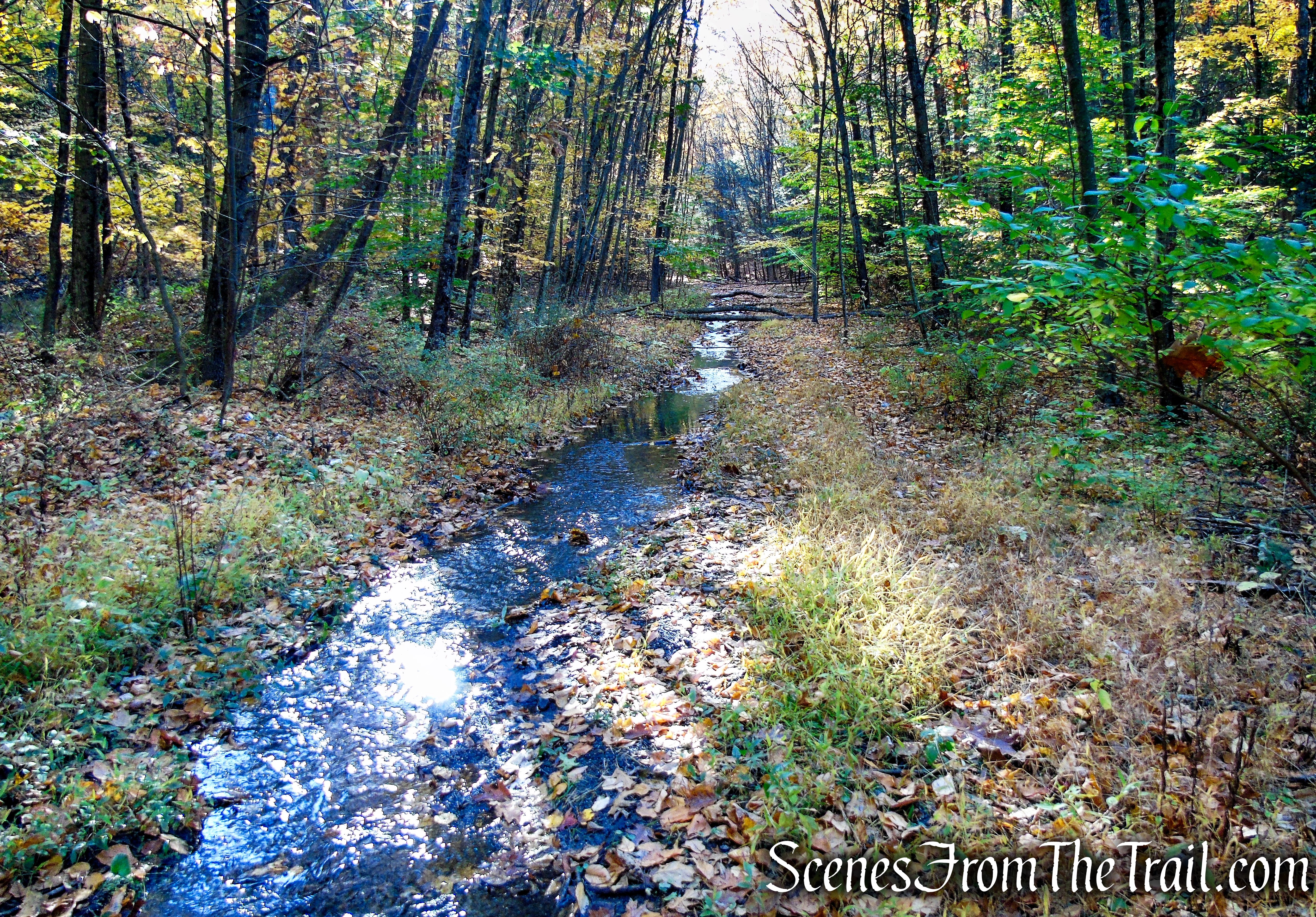 High View Tunnel Outflow Stream