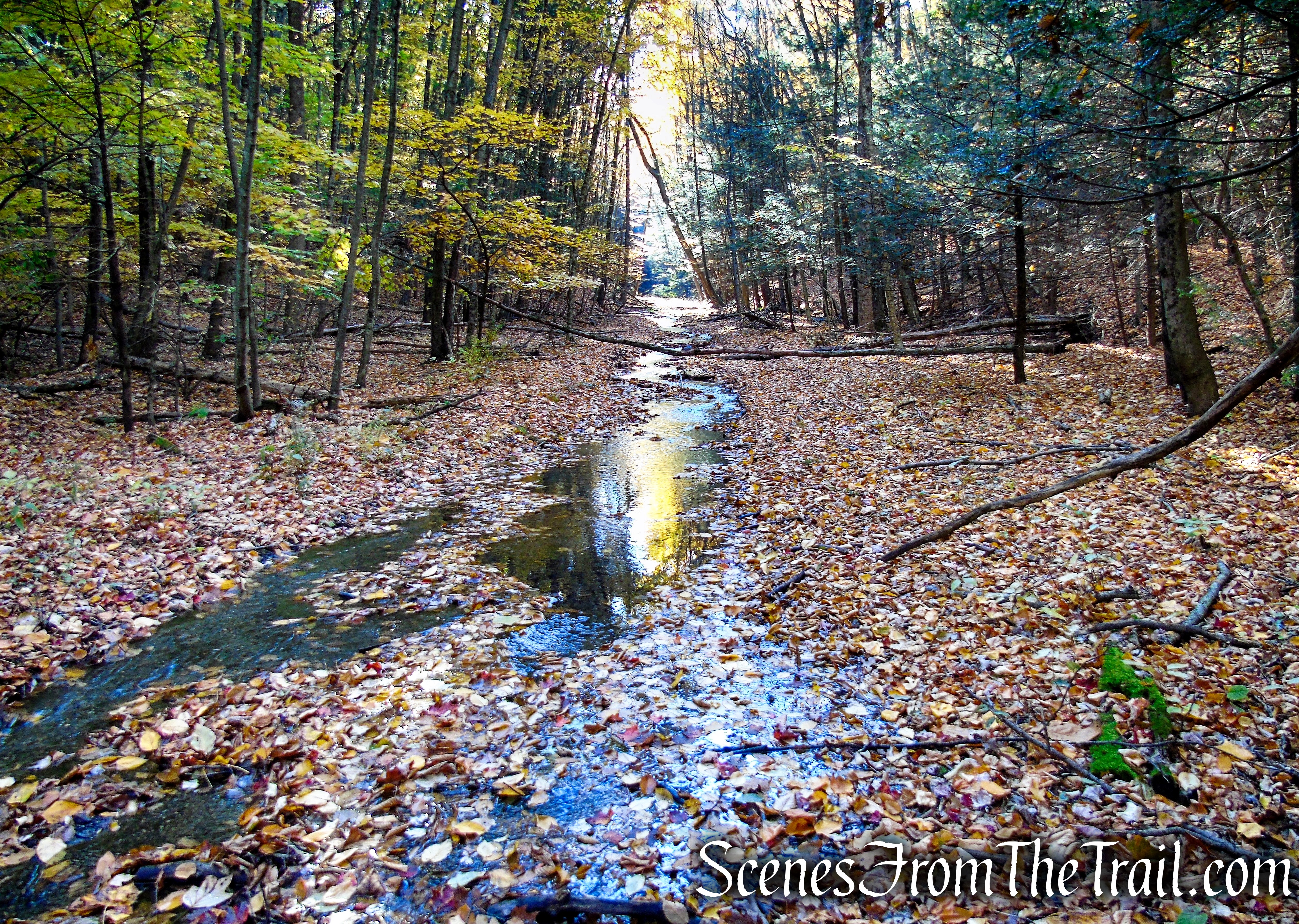 Abandoned railbed – High View Tunnel