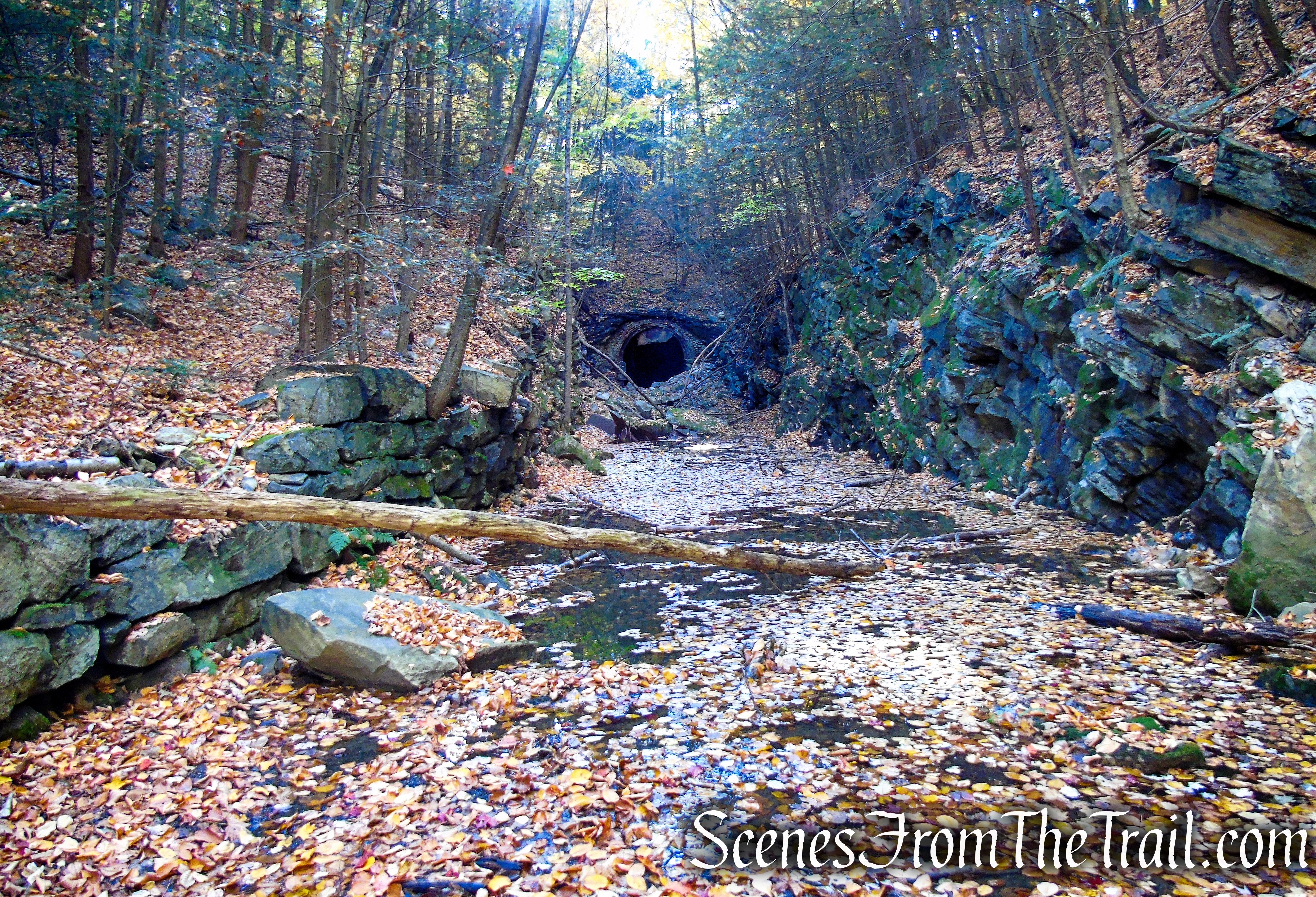 Abandoned railbed – High View Tunnel