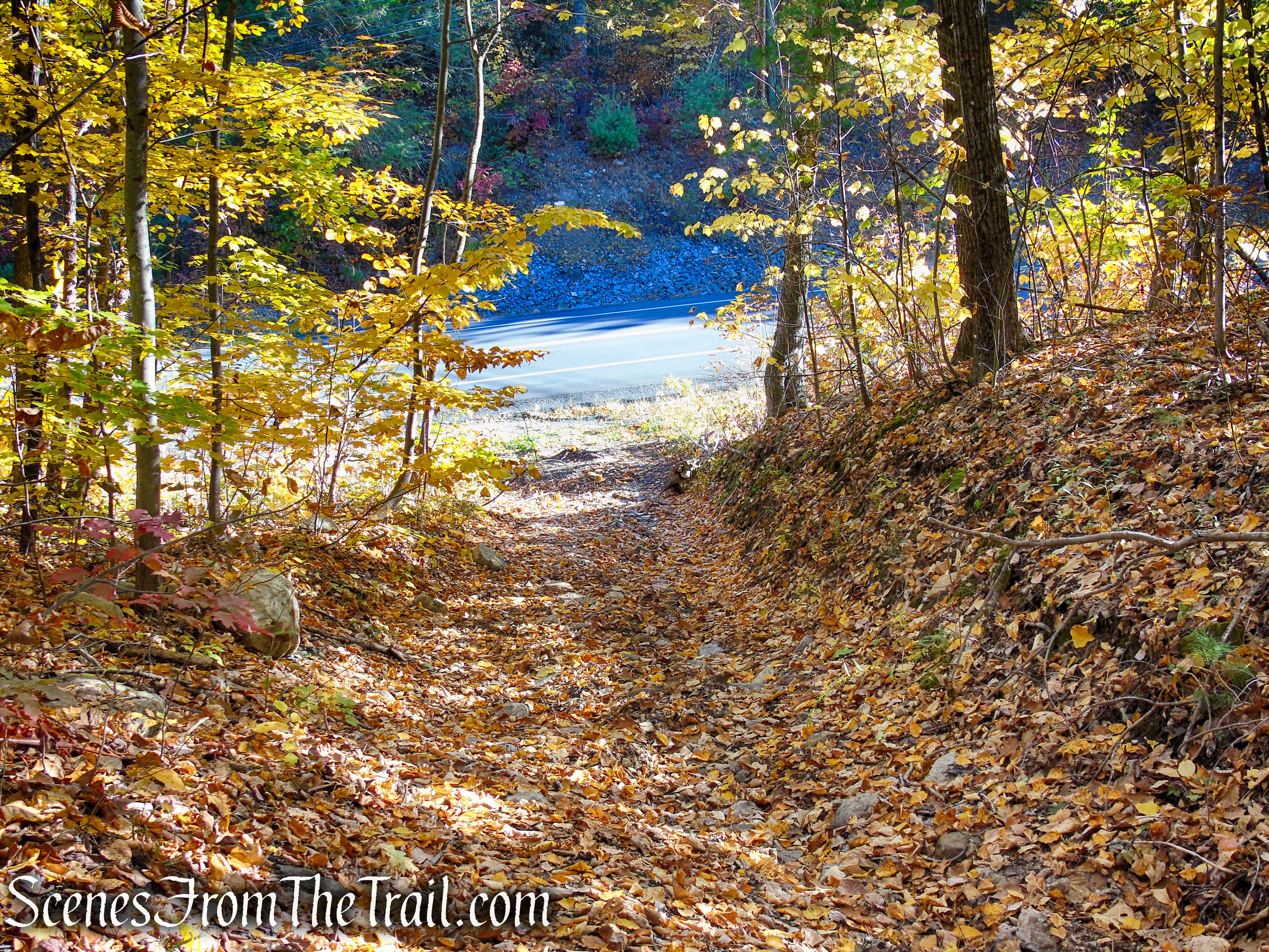 Access Road to abandoned railbed