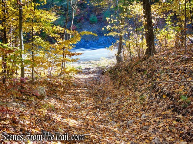 Access Road to abandoned railbed