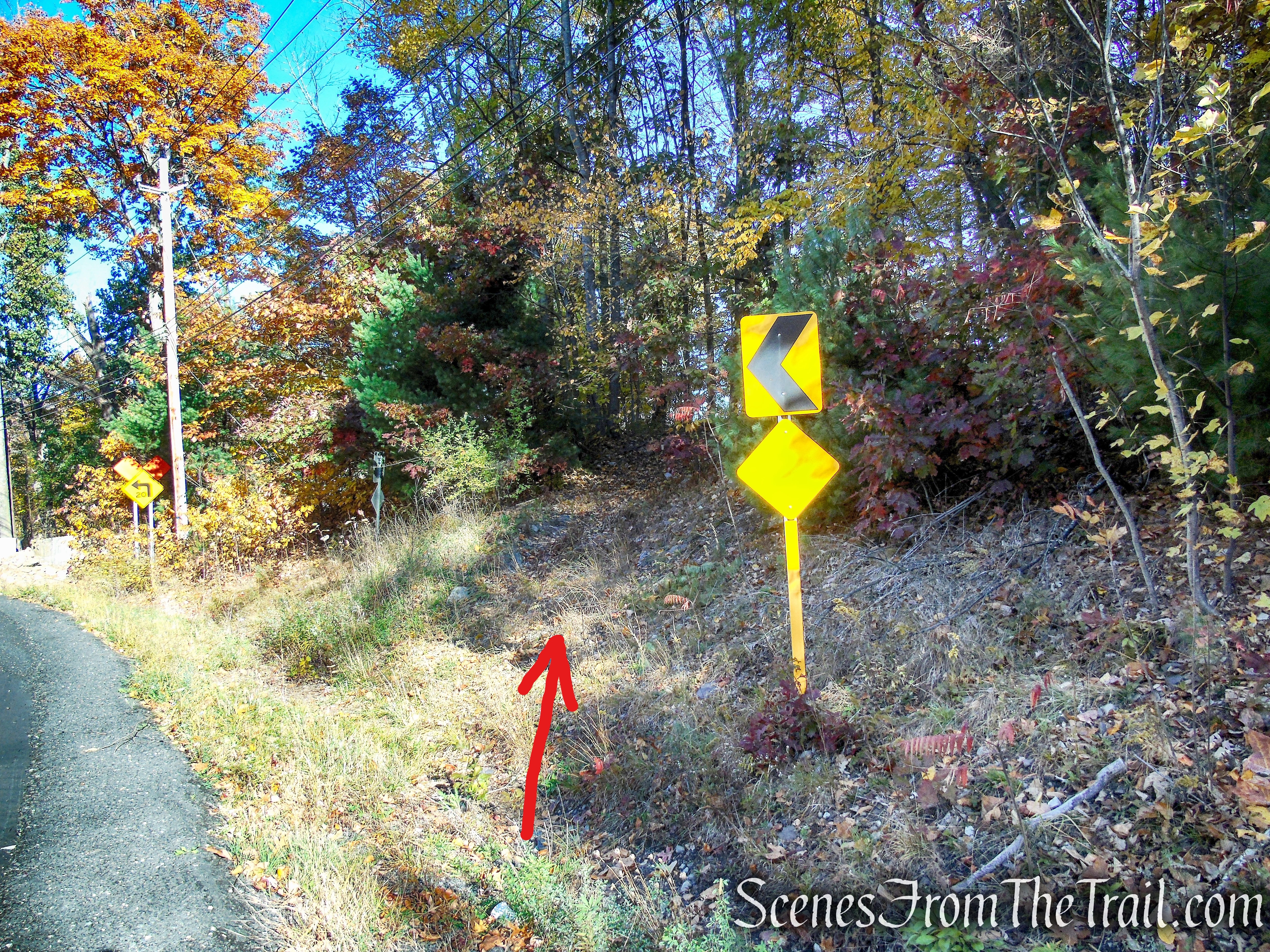 Abandoned railbed on north side of CR 171 (Mamakating Road)