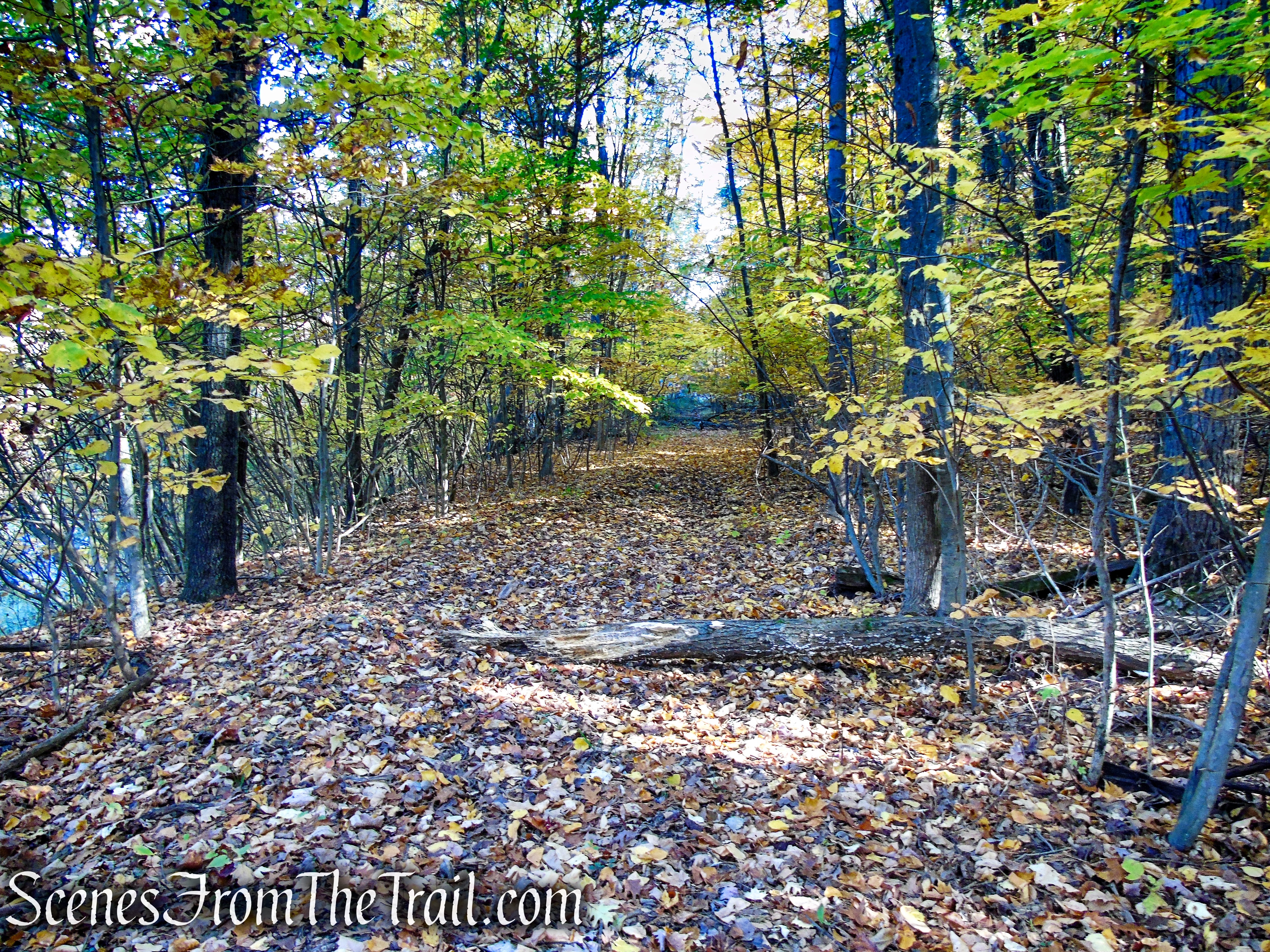 Abandoned railbed on north side of CR 171 (Mamakating Road)