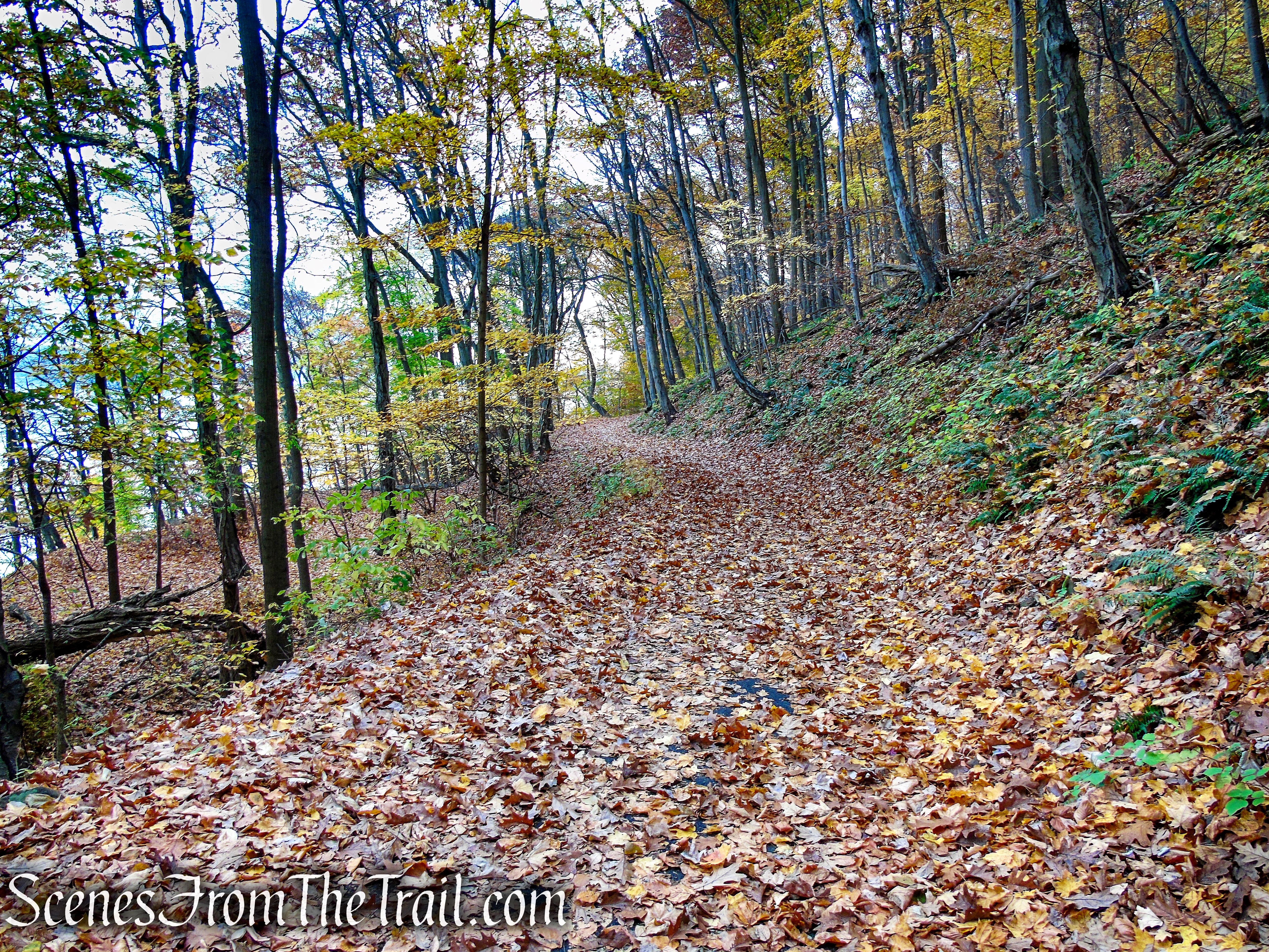 River Trail – Haverstraw Beach State Park