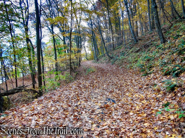 River Trail – Haverstraw Beach State Park