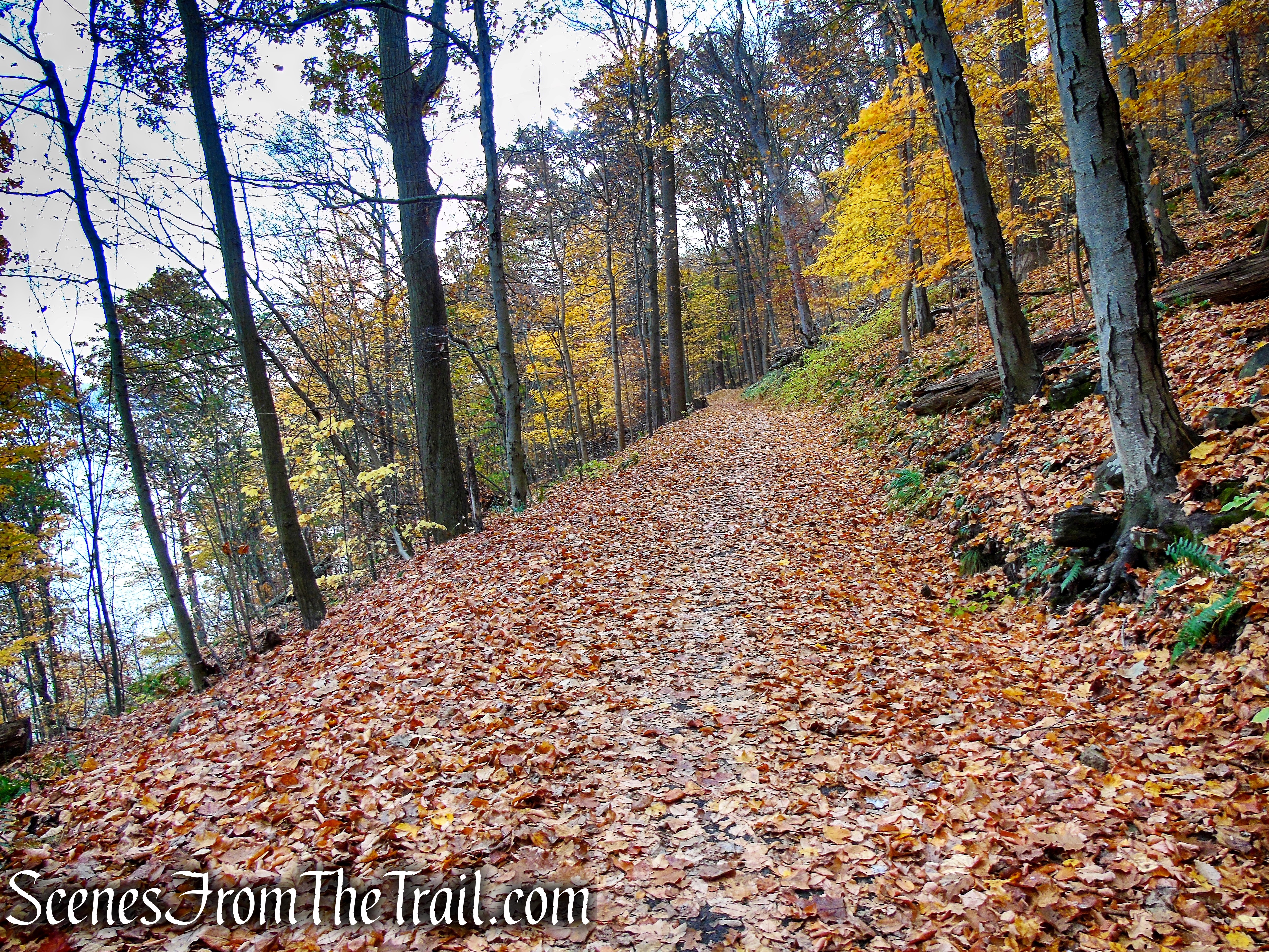 River Trail – Haverstraw Beach State Park