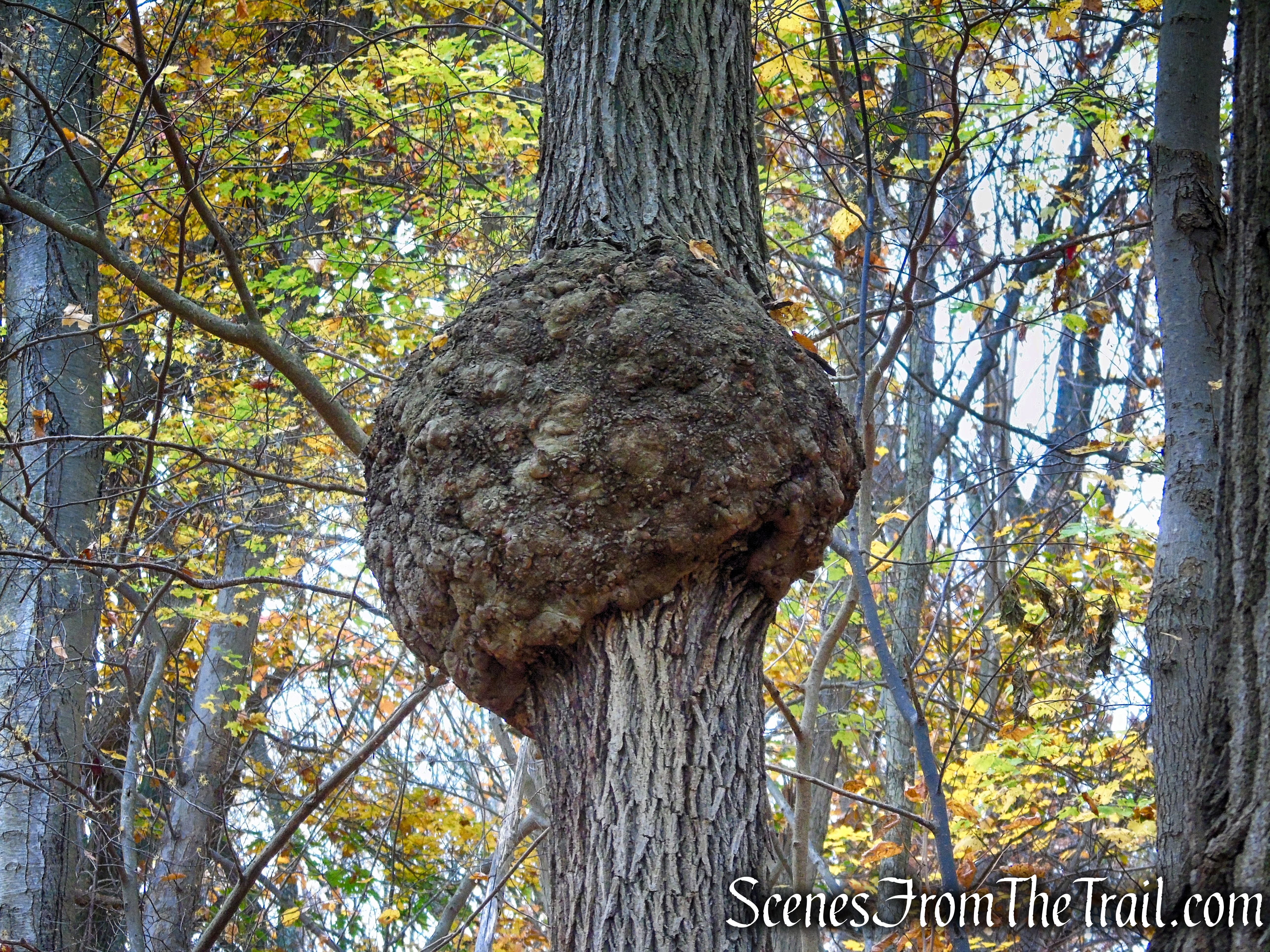 River Trail – Haverstraw Beach State Park