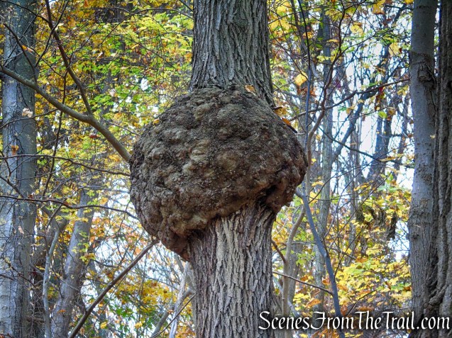 River Trail – Haverstraw Beach State Park