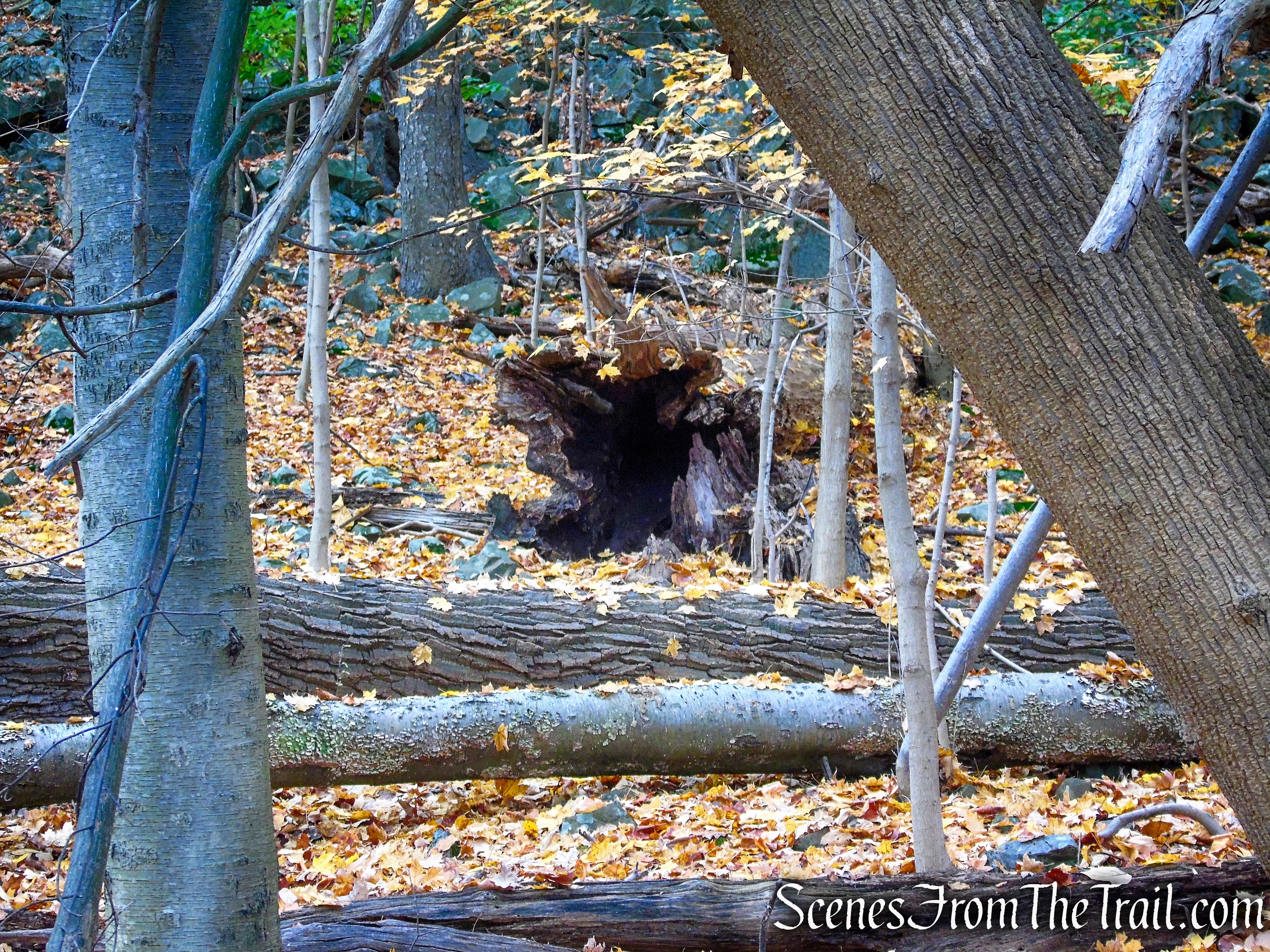 River Trail – Haverstraw Beach State Park