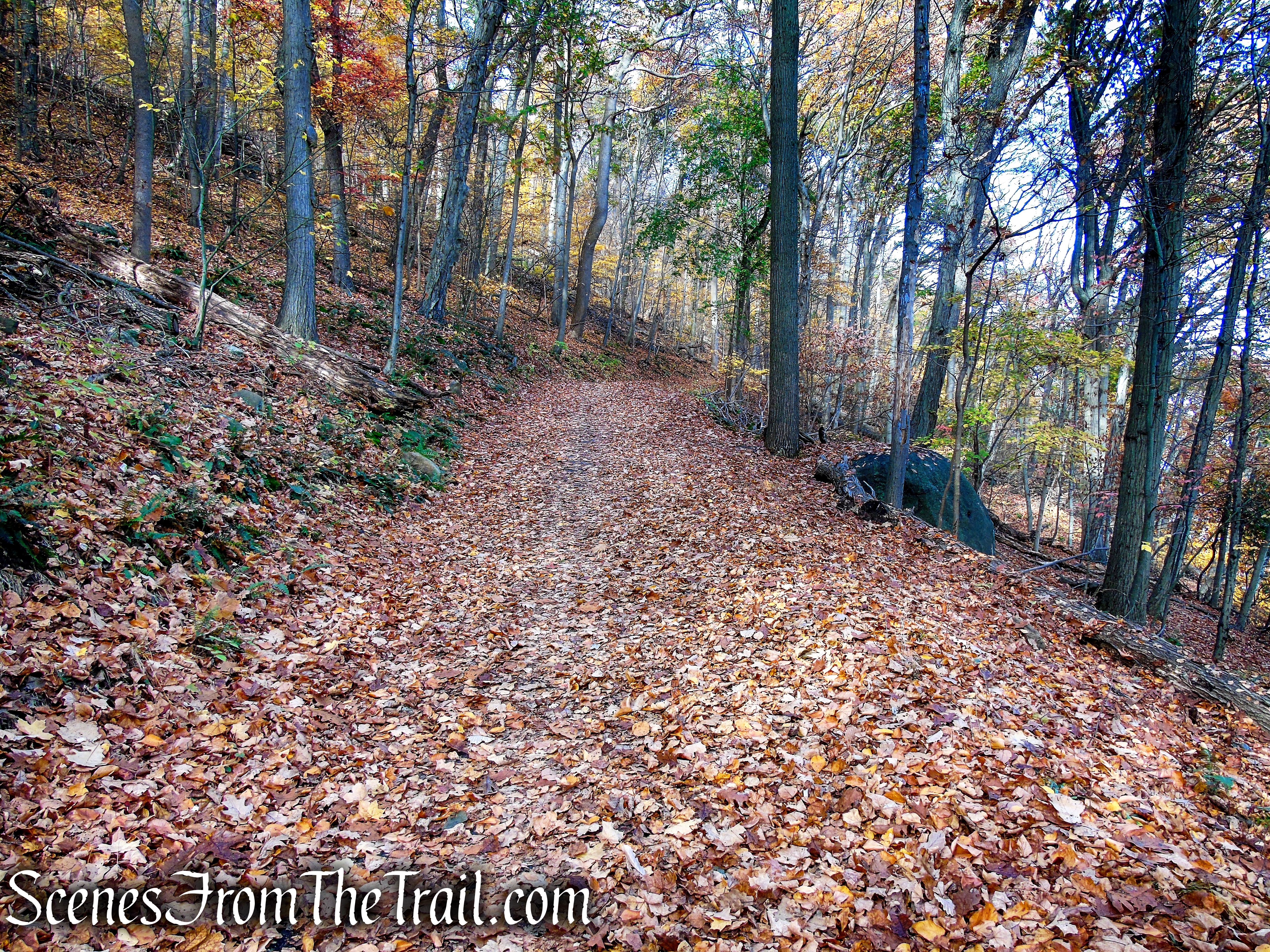 River Trail – Haverstraw Beach State Park