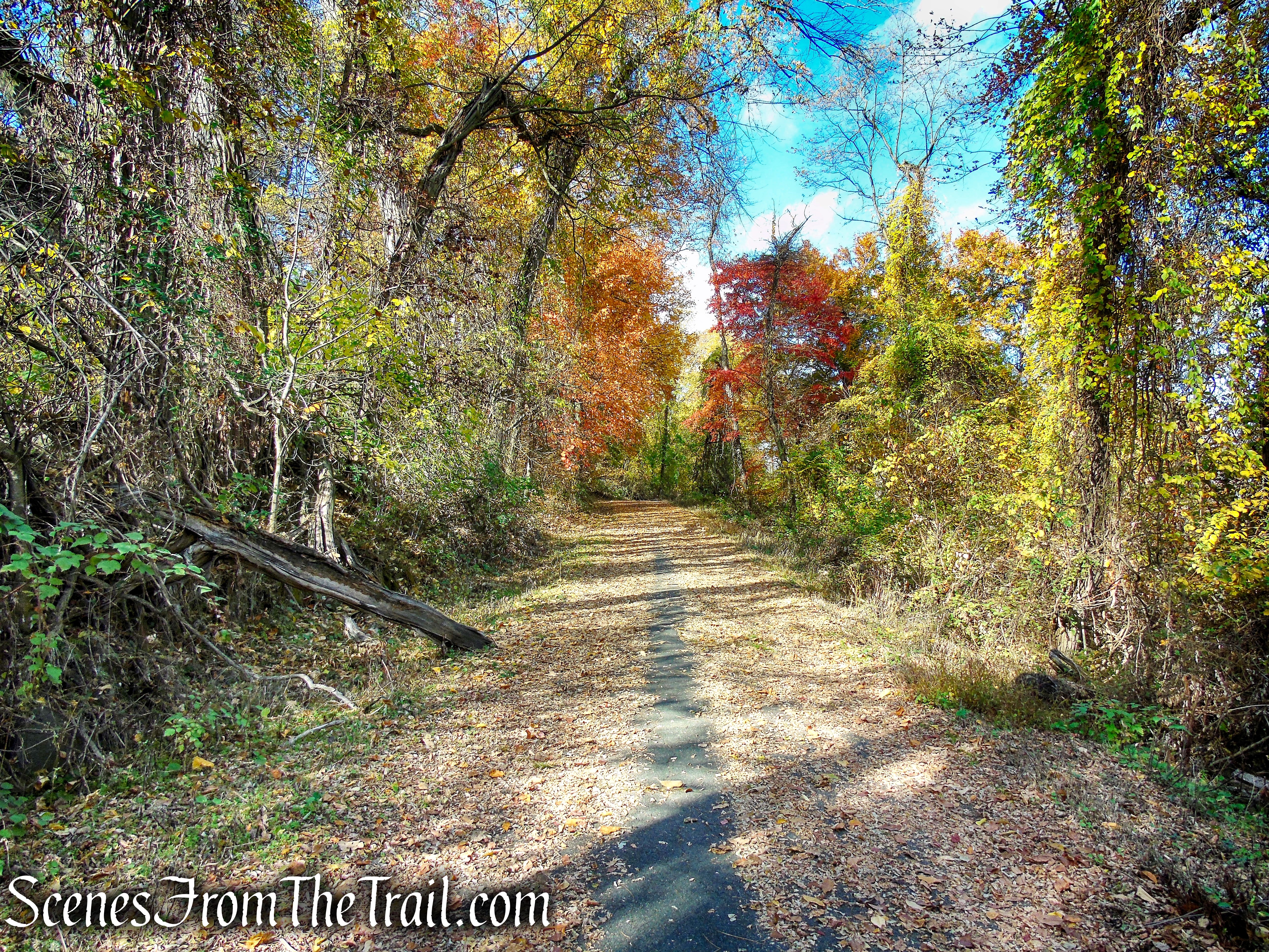 River Trail – Haverstraw Beach State Park