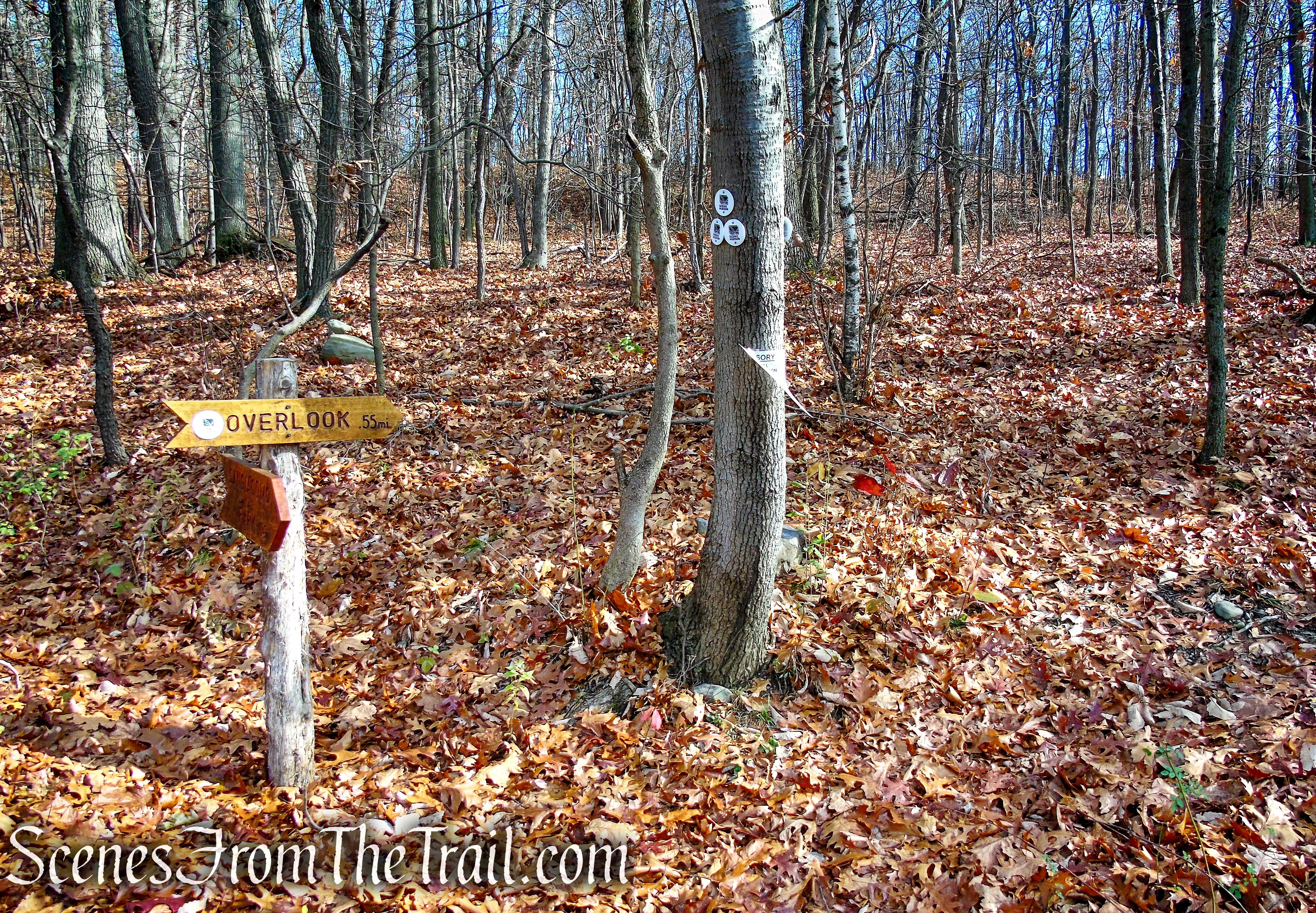 White Trail - Snake Hill