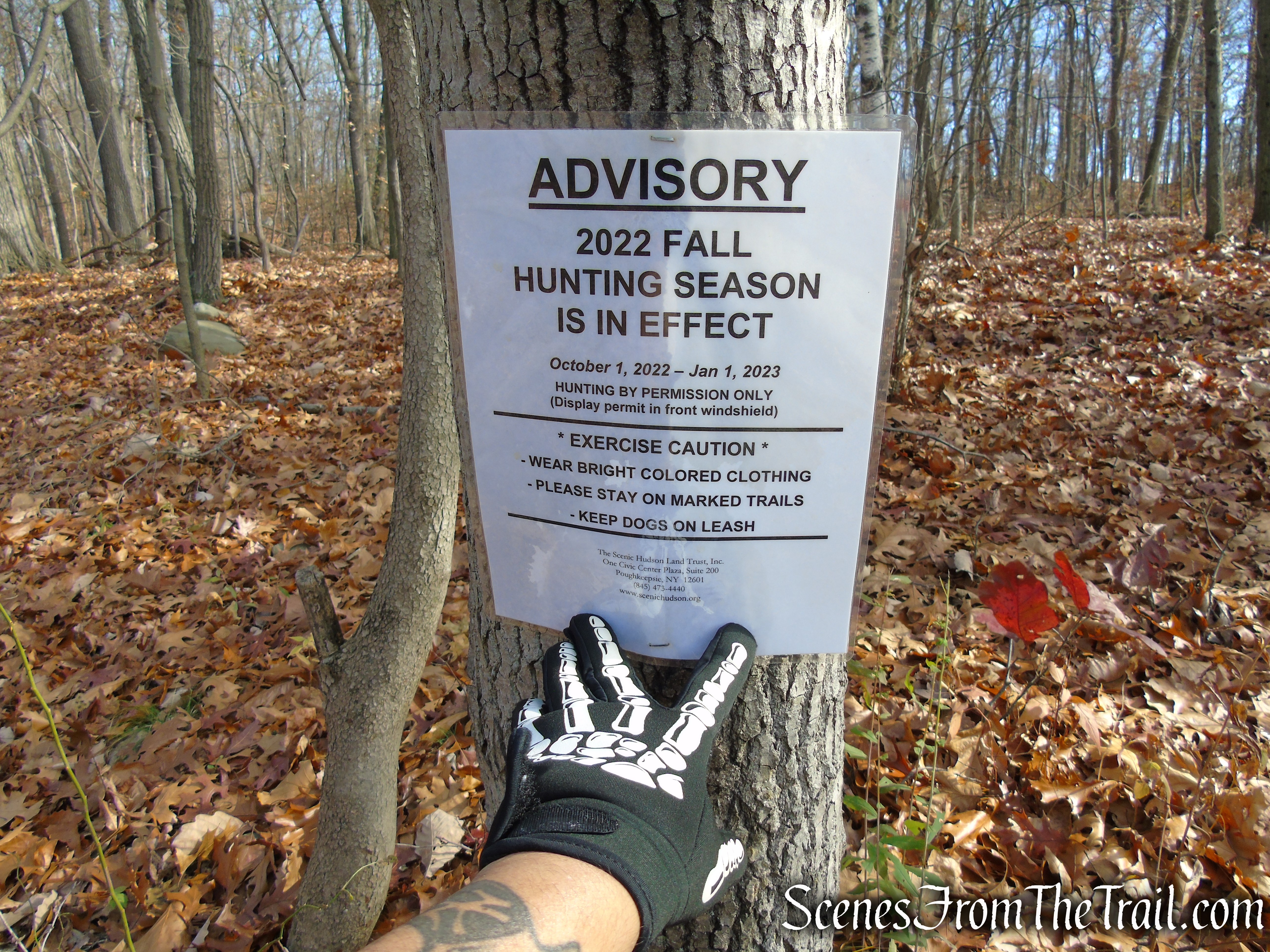 White Trail - Snake Hill