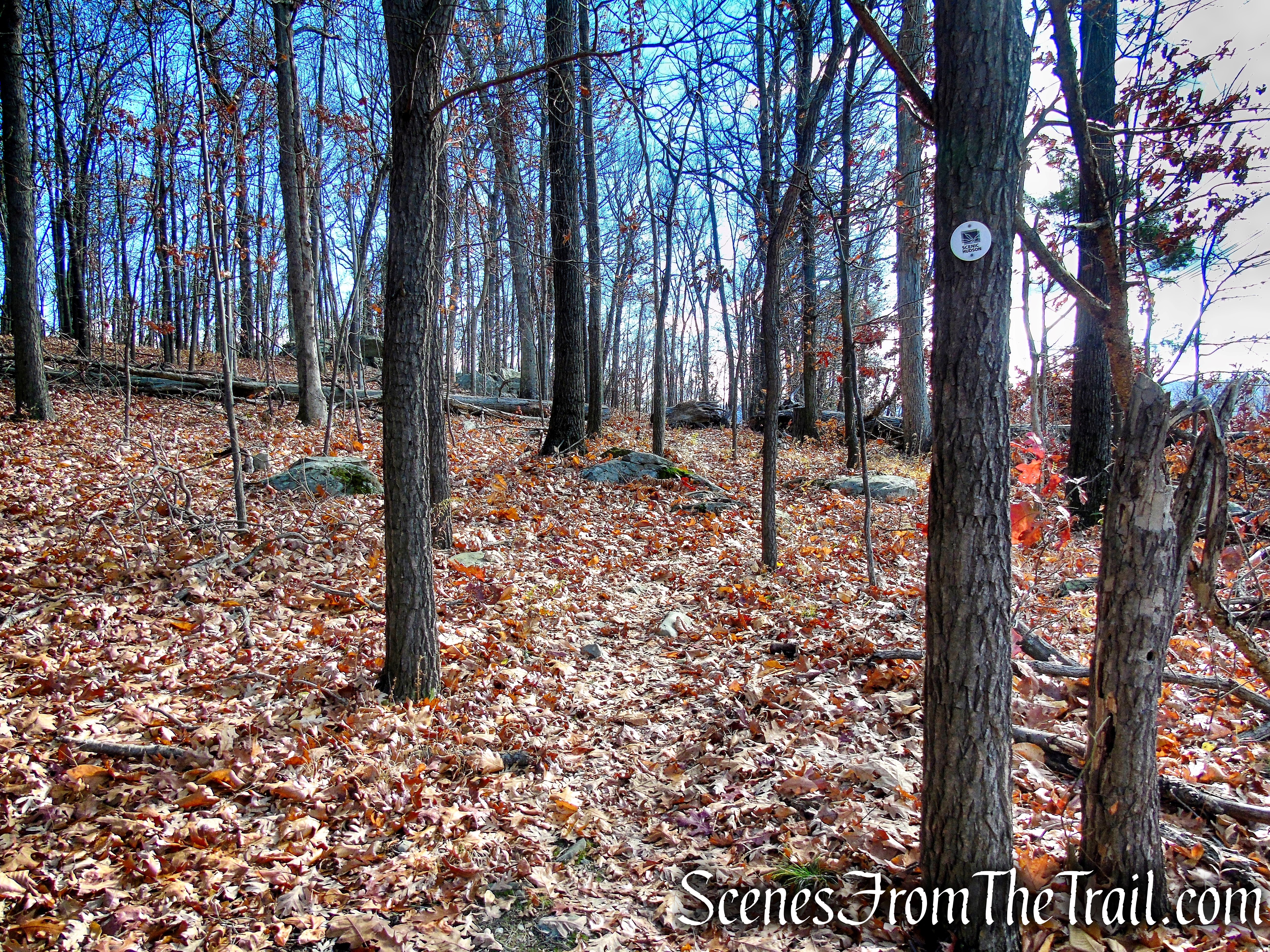 White Trail - Snake Hill