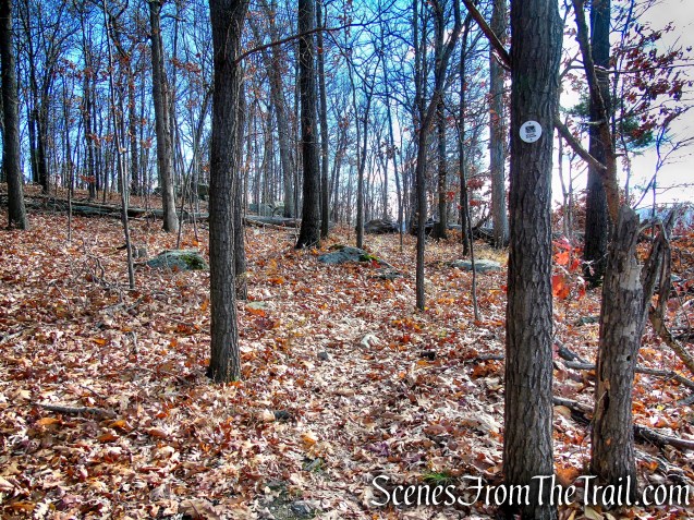 White Trail - Snake Hill