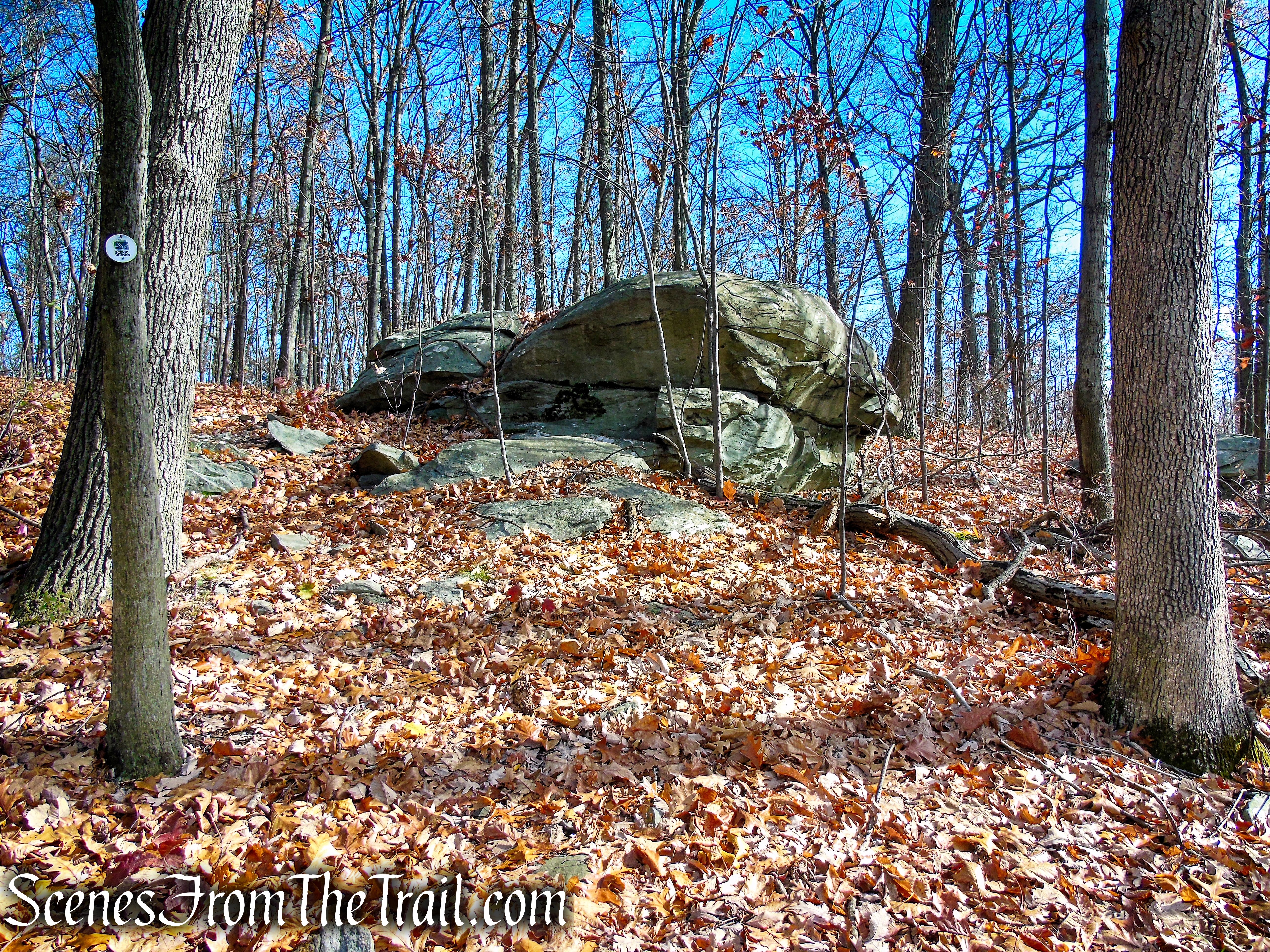 White Trail - Snake Hill