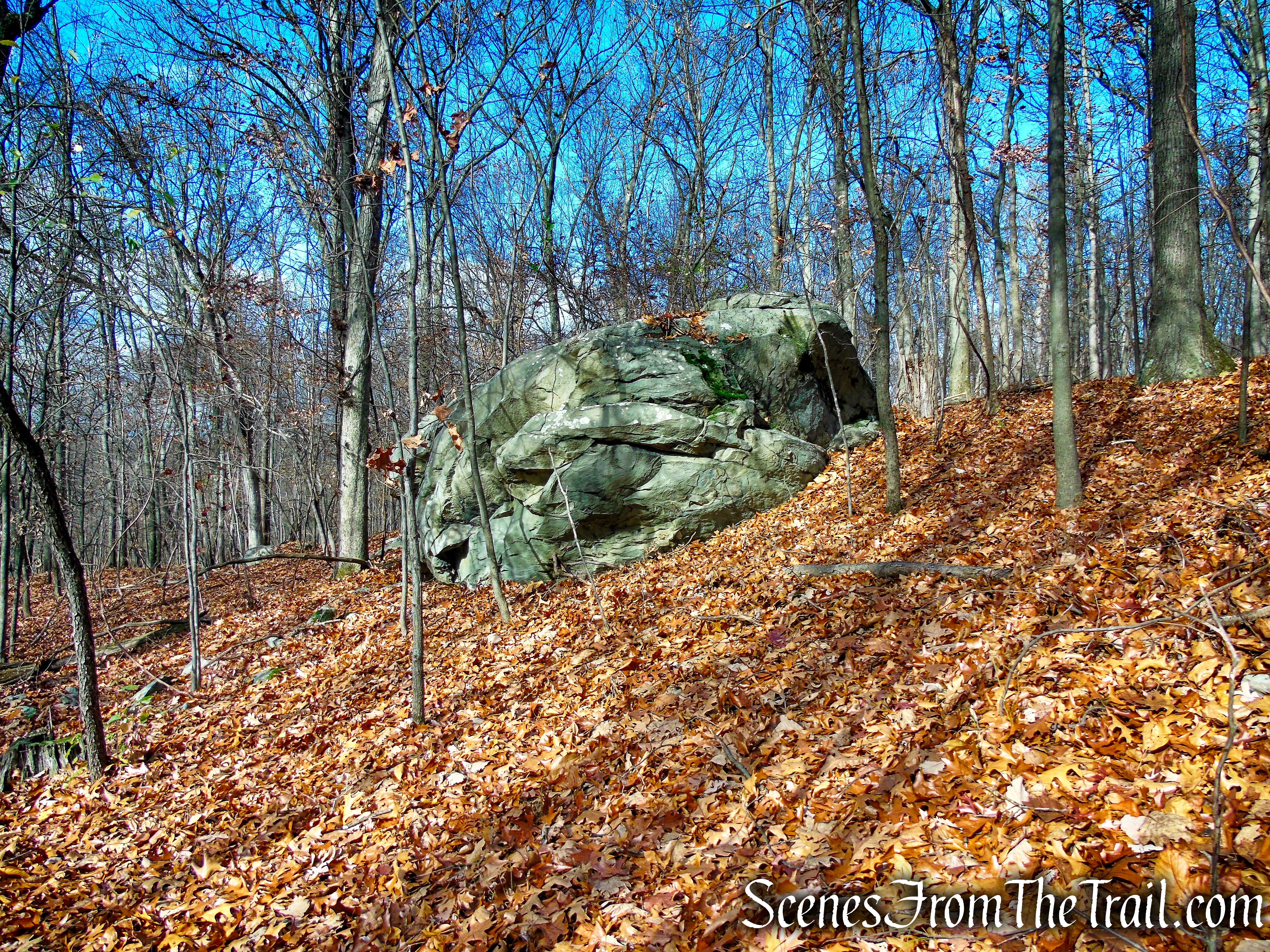 White Trail - Snake Hill