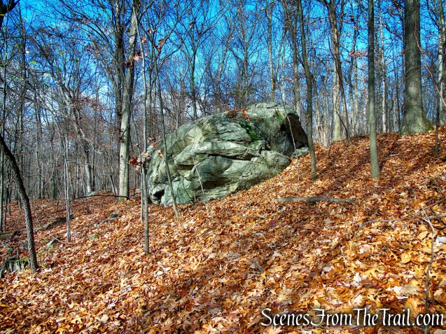 White Trail - Snake Hill