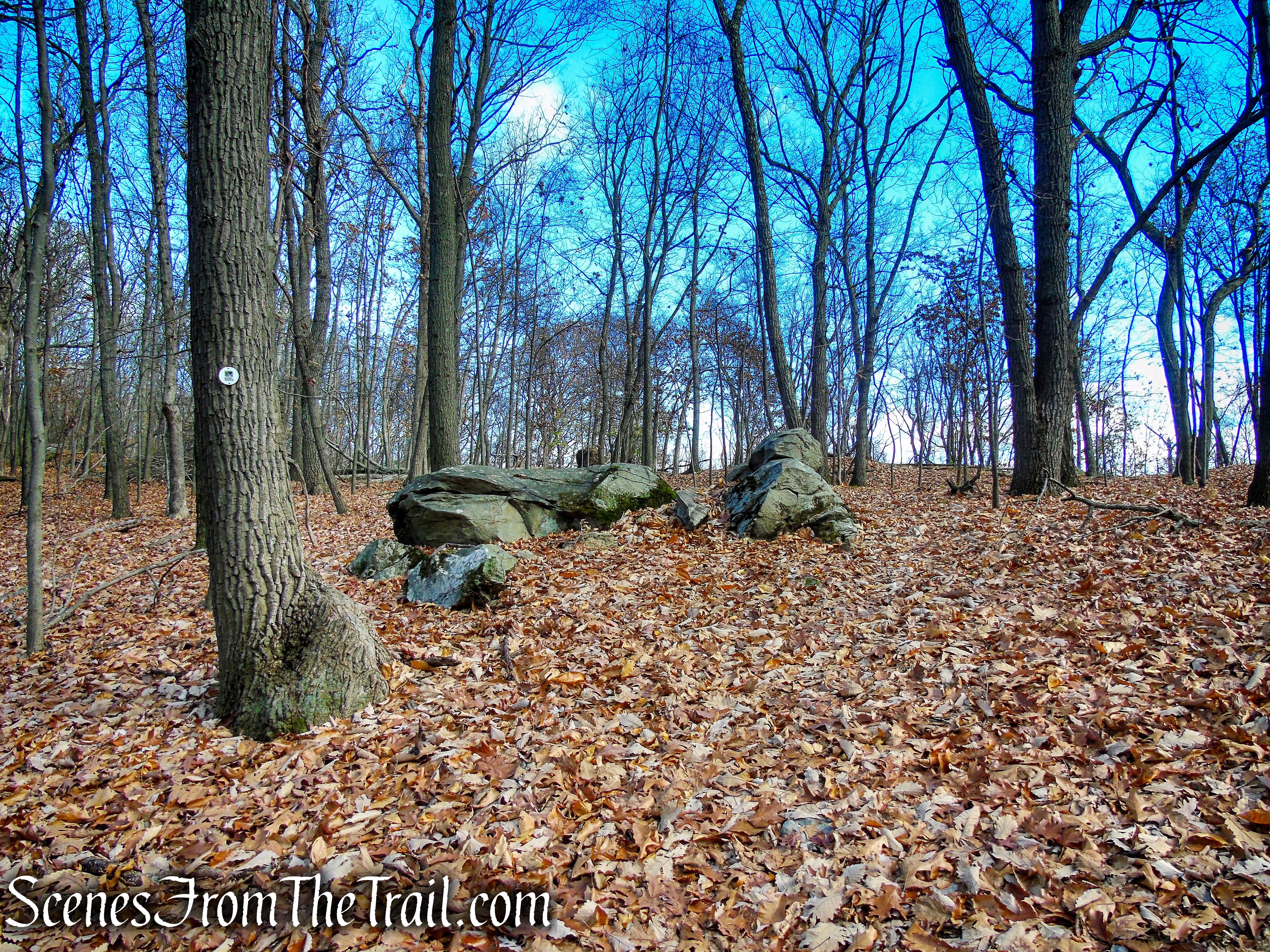 White Trail - Snake Hill