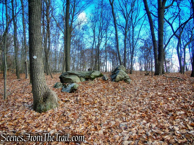 White Trail - Snake Hill