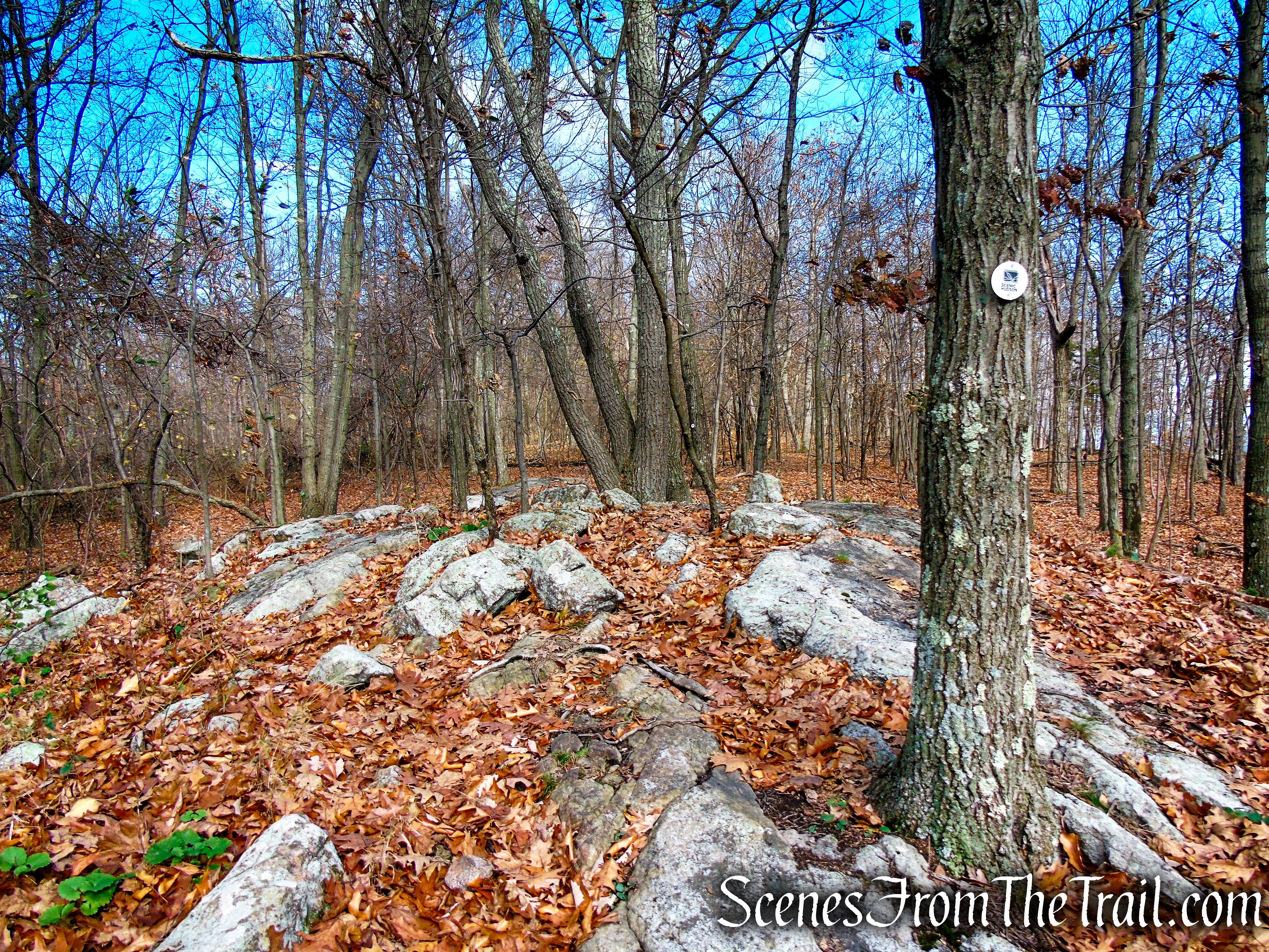 White Trail - Snake Hill