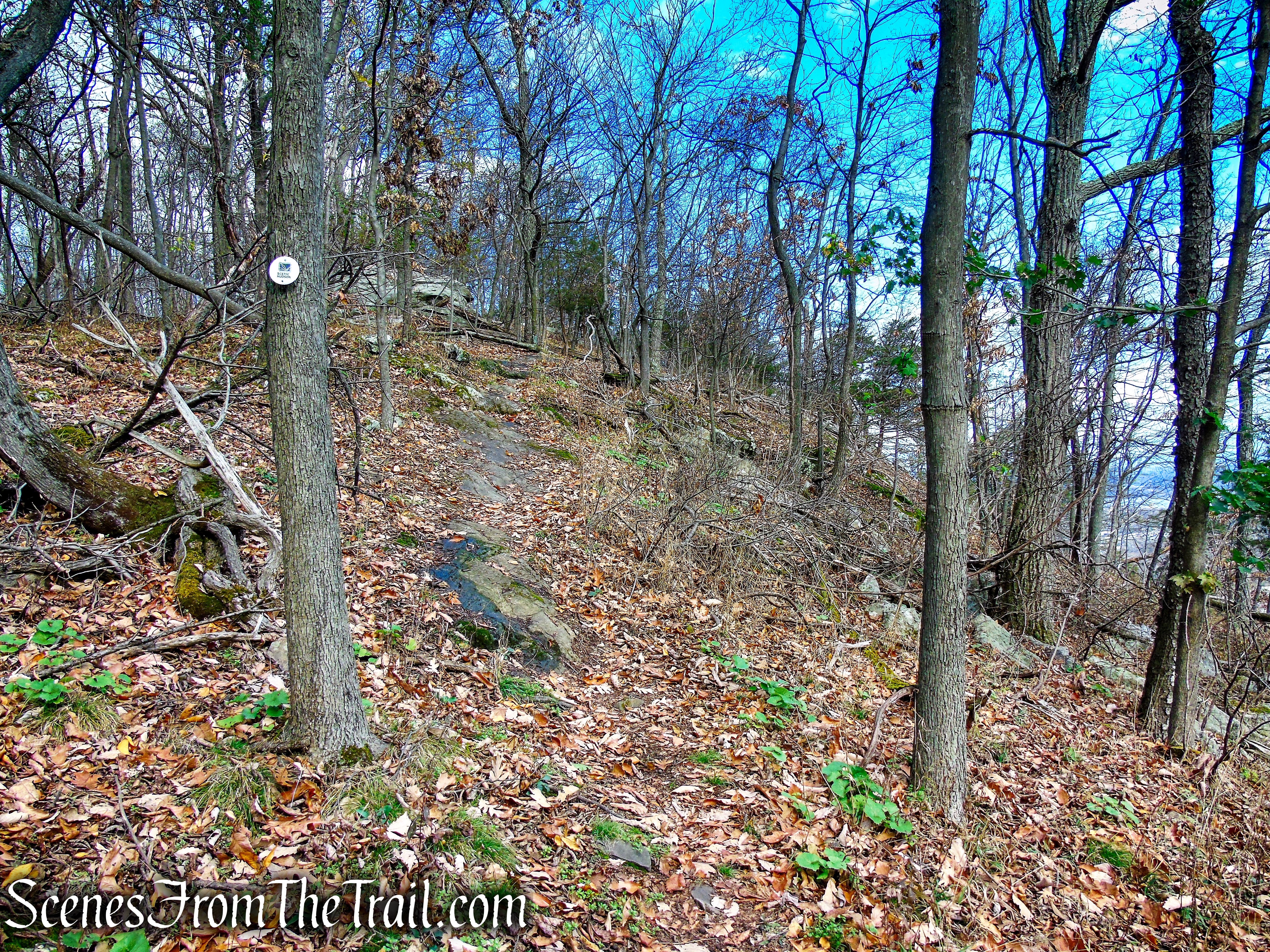 White Trail - Snake Hill