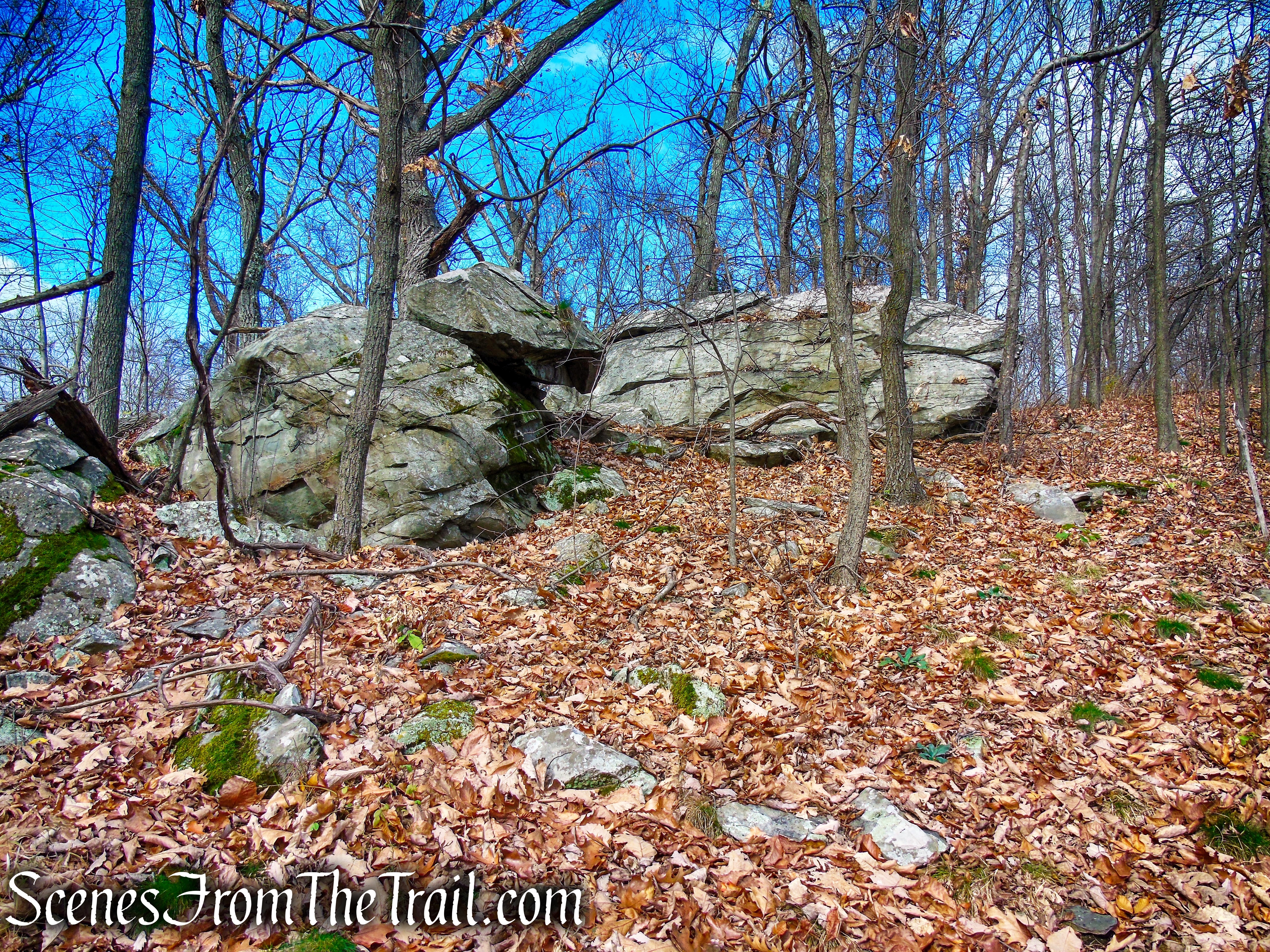 White Trail - Snake Hill