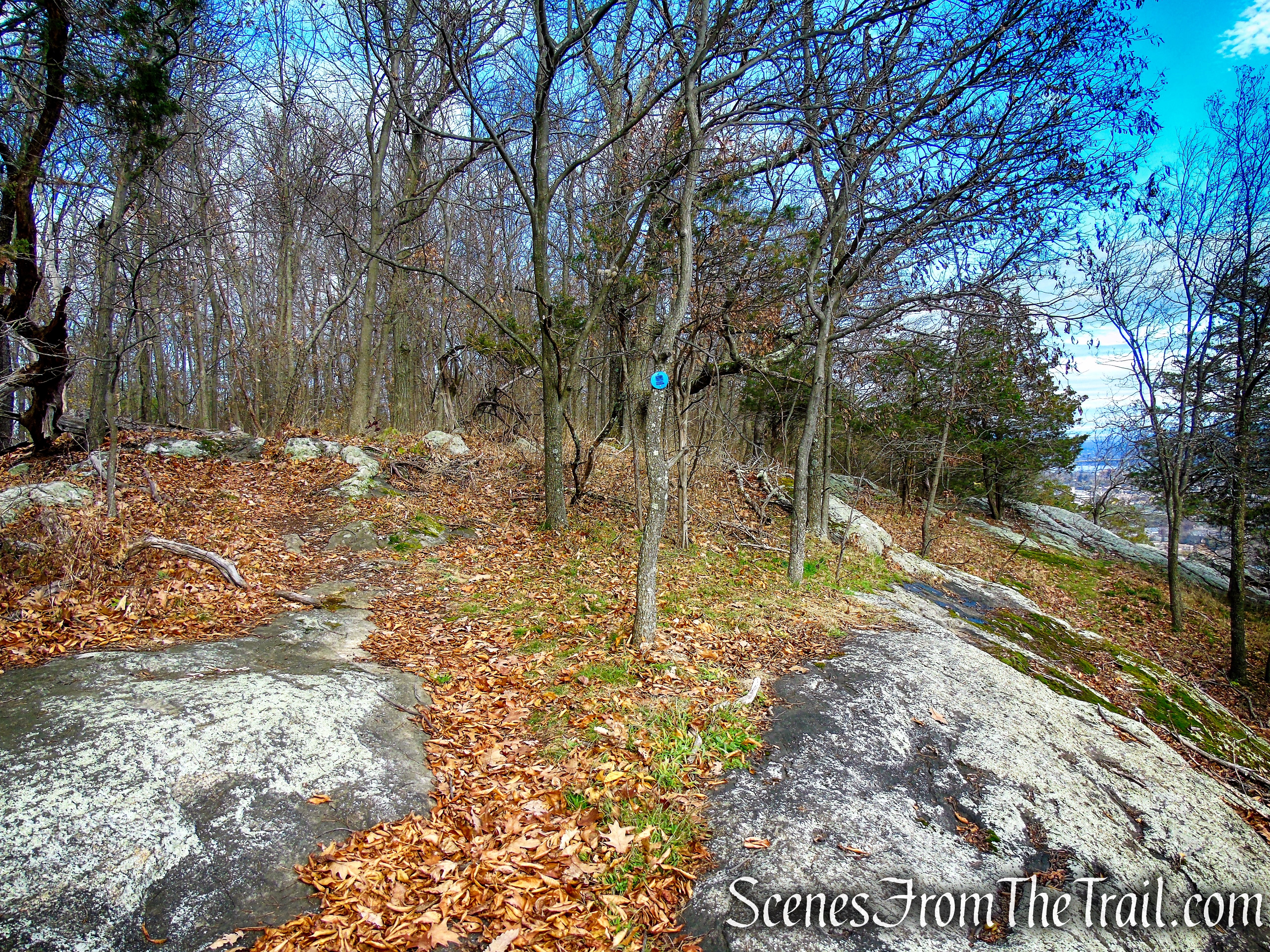 Blue Trail - Snake Hill
