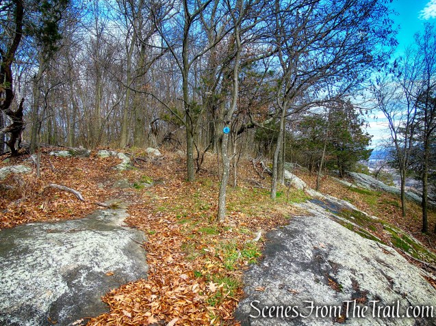 Blue Trail - Snake Hill