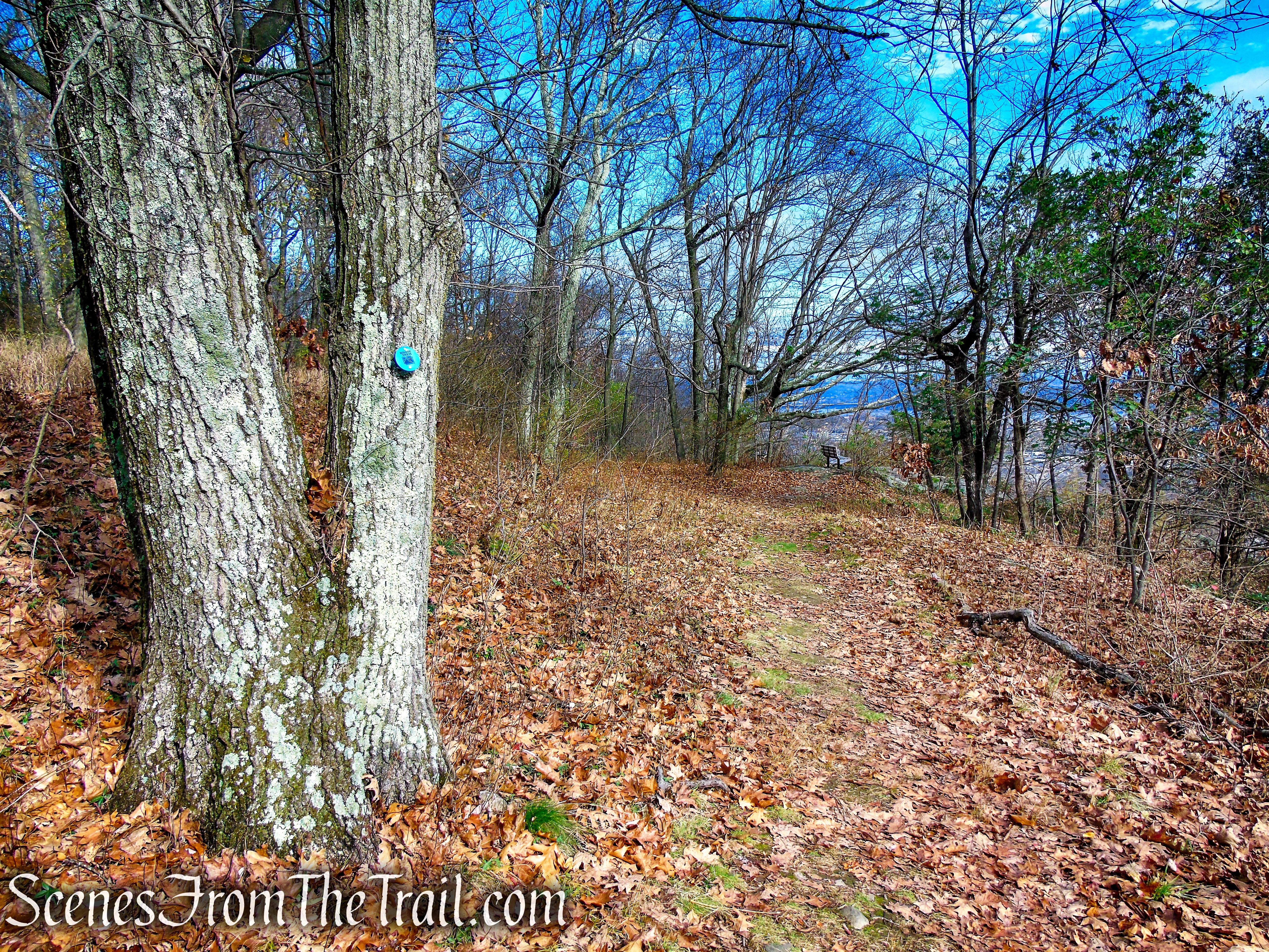 Blue Trail - Snake Hill