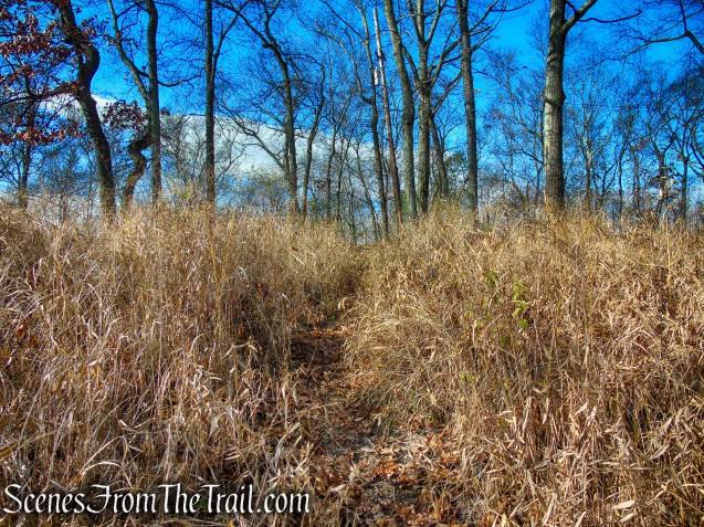 Unmarked footpath - Snake Hill summit