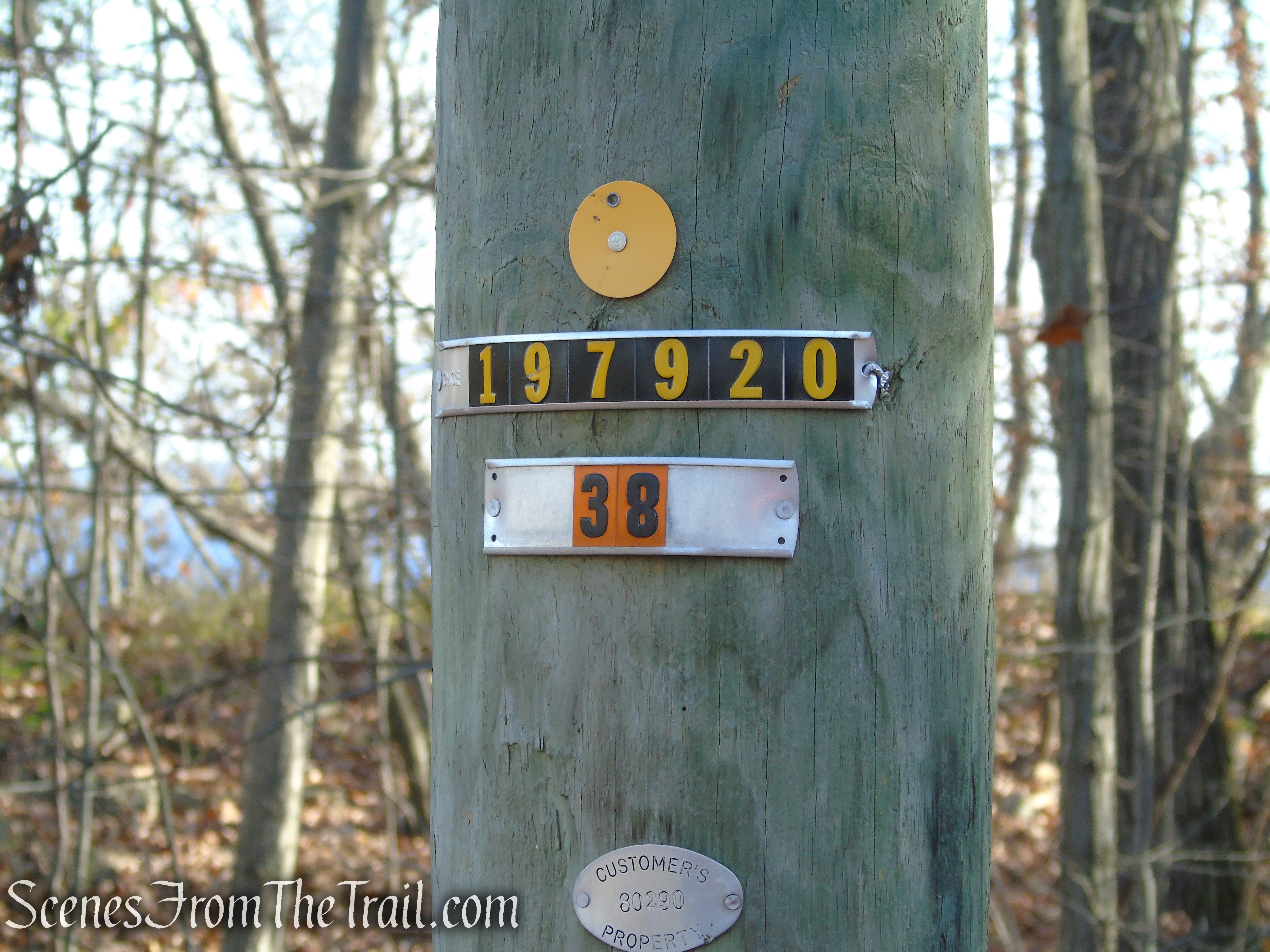 Telephone pole 38 - paved access road – Snake Hill