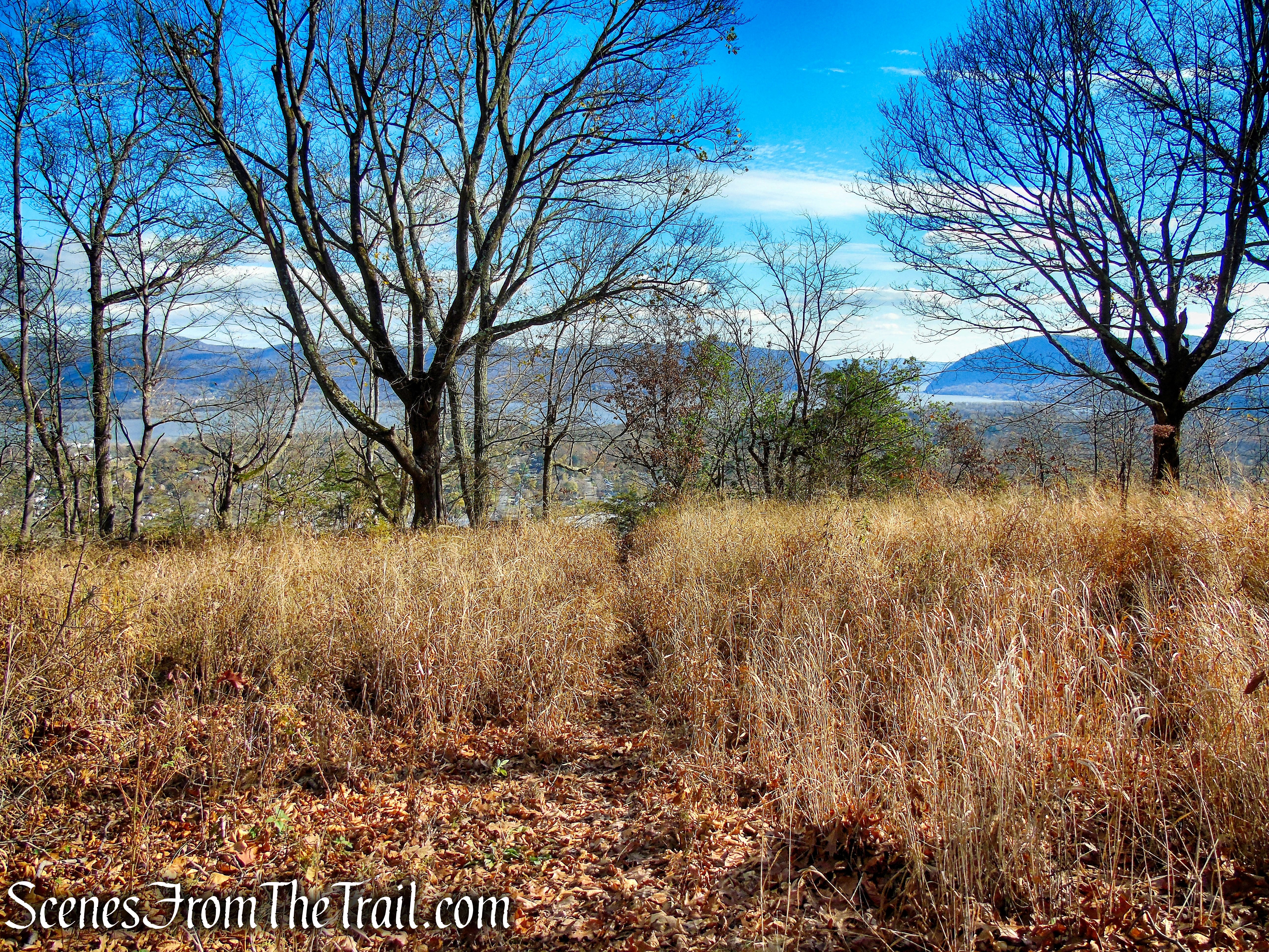Unmarked footpath – Snake Hill summit