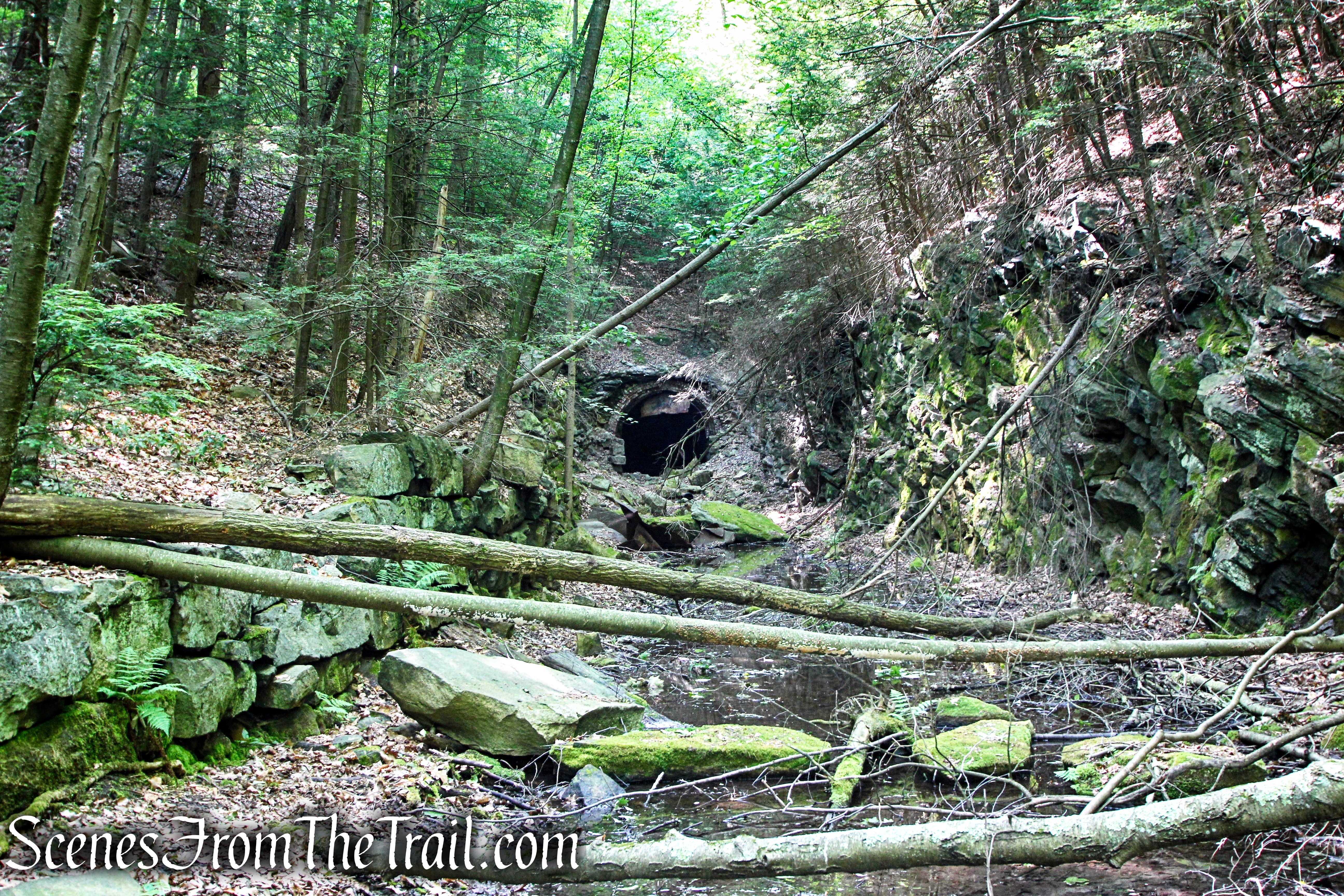 Abandoned railbed – High View Tunnel