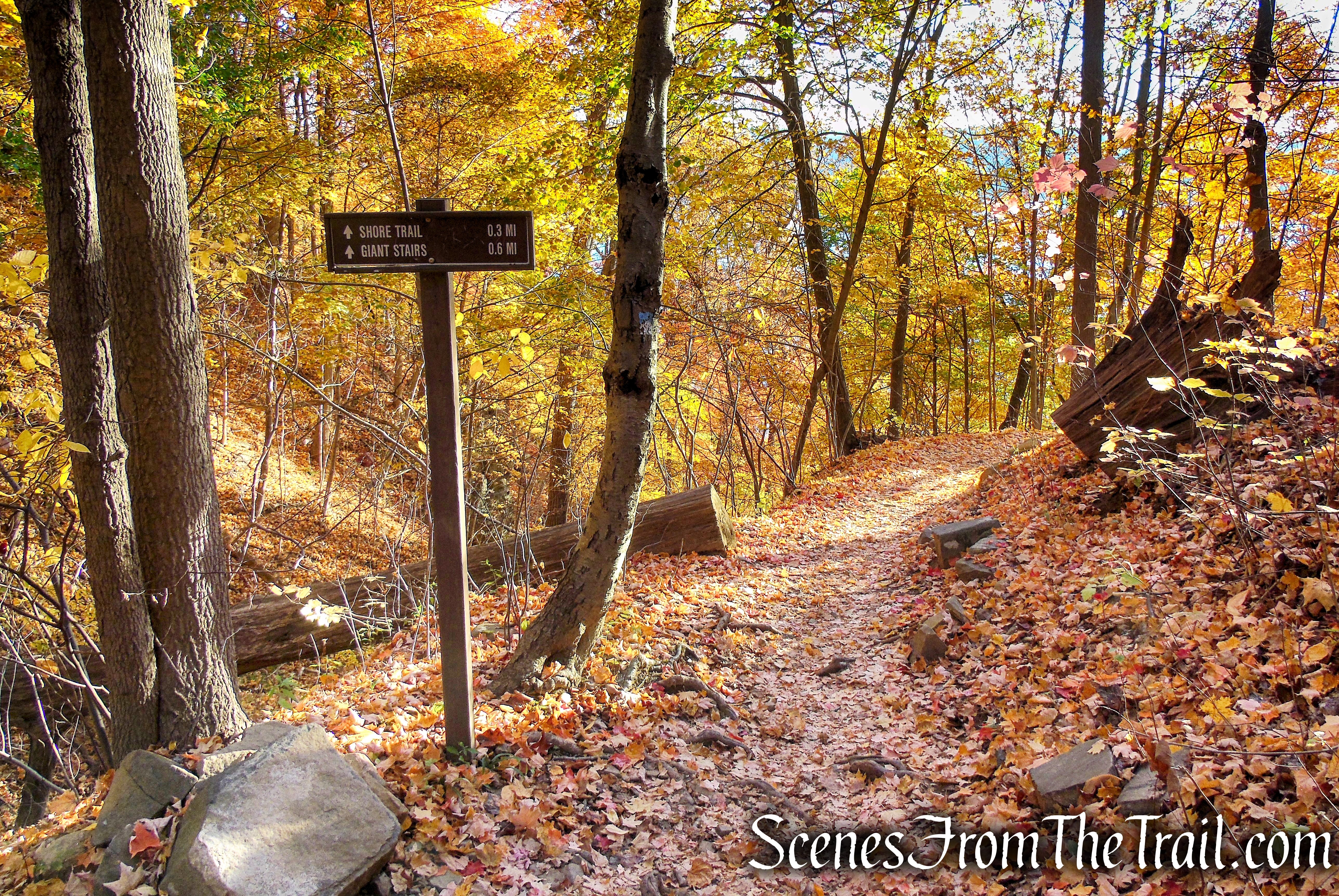 Forest View Trail - Palisades Interstate Park