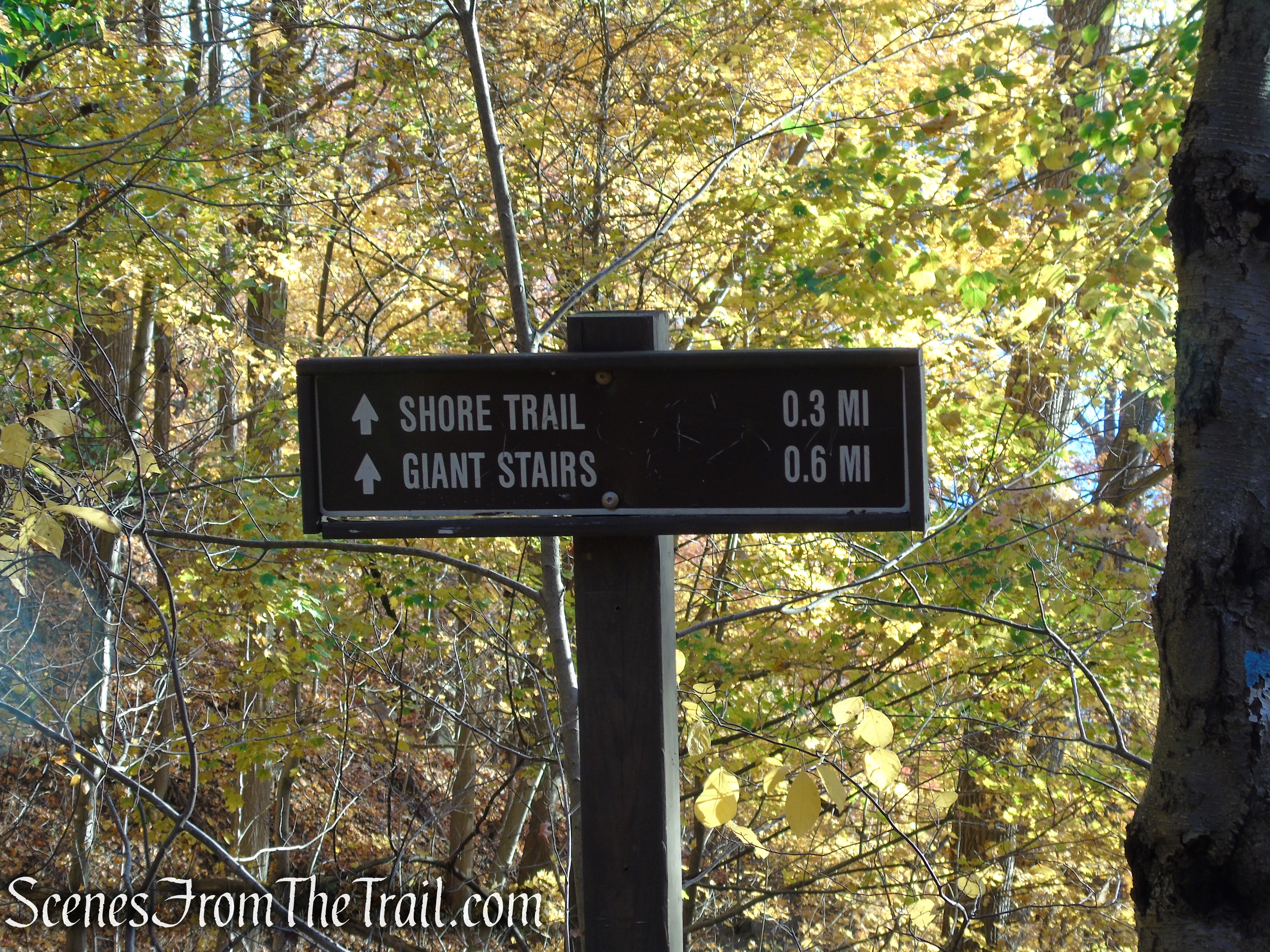 Forest View Trail - Palisades Interstate Park