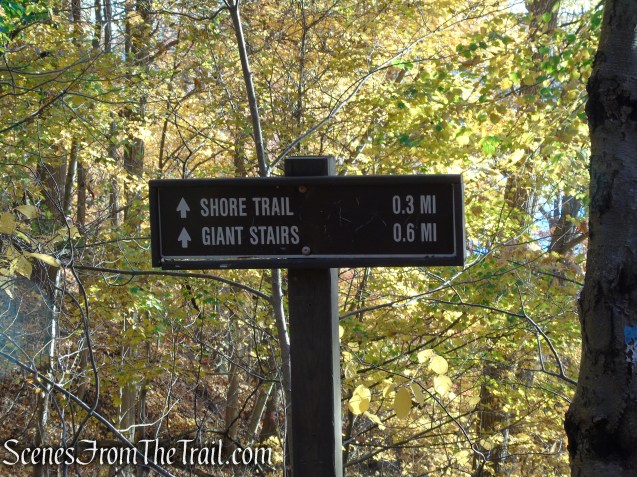 Forest View Trail - Palisades Interstate Park