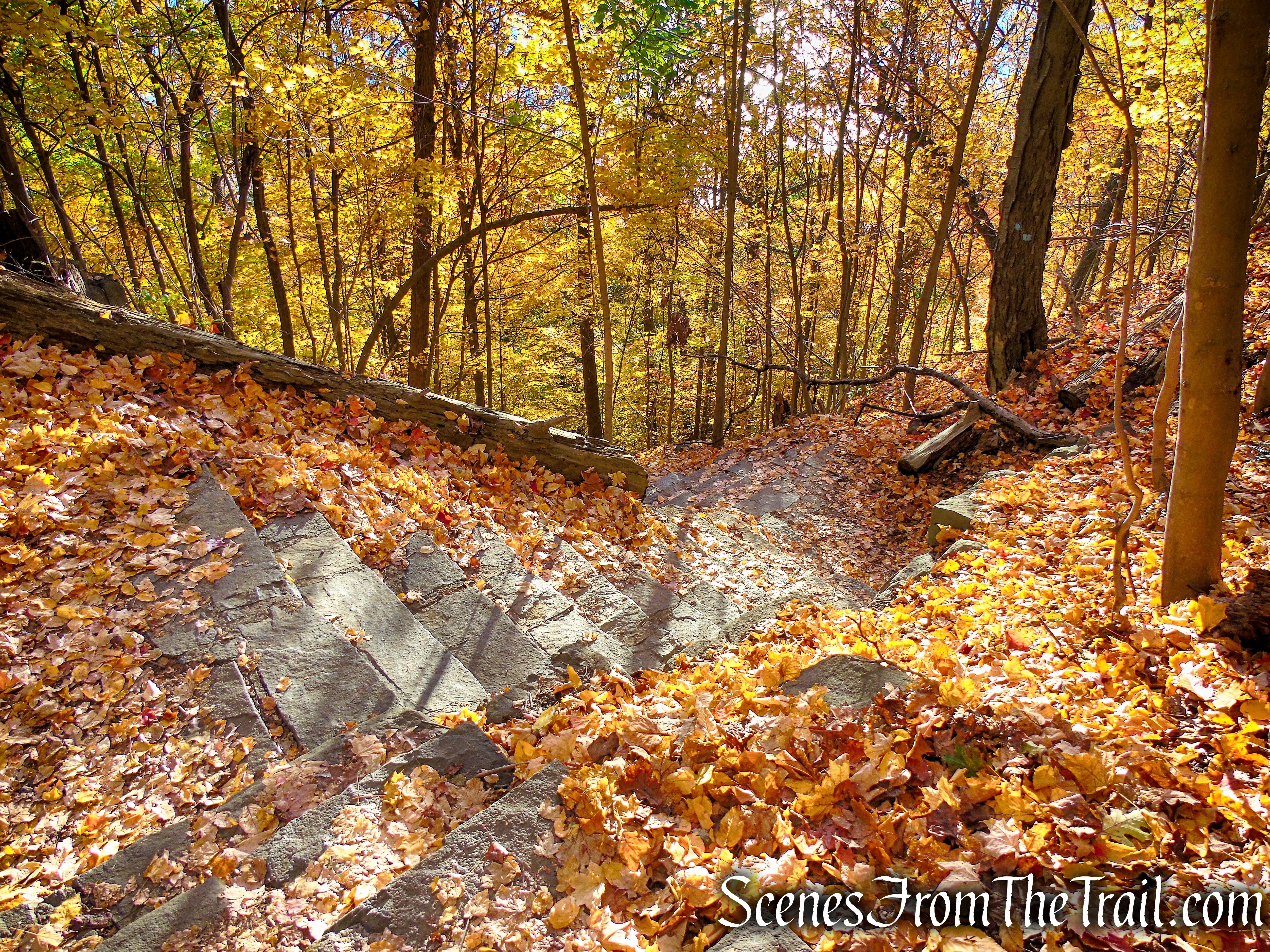 Forest View Trail - Palisades Interstate Park