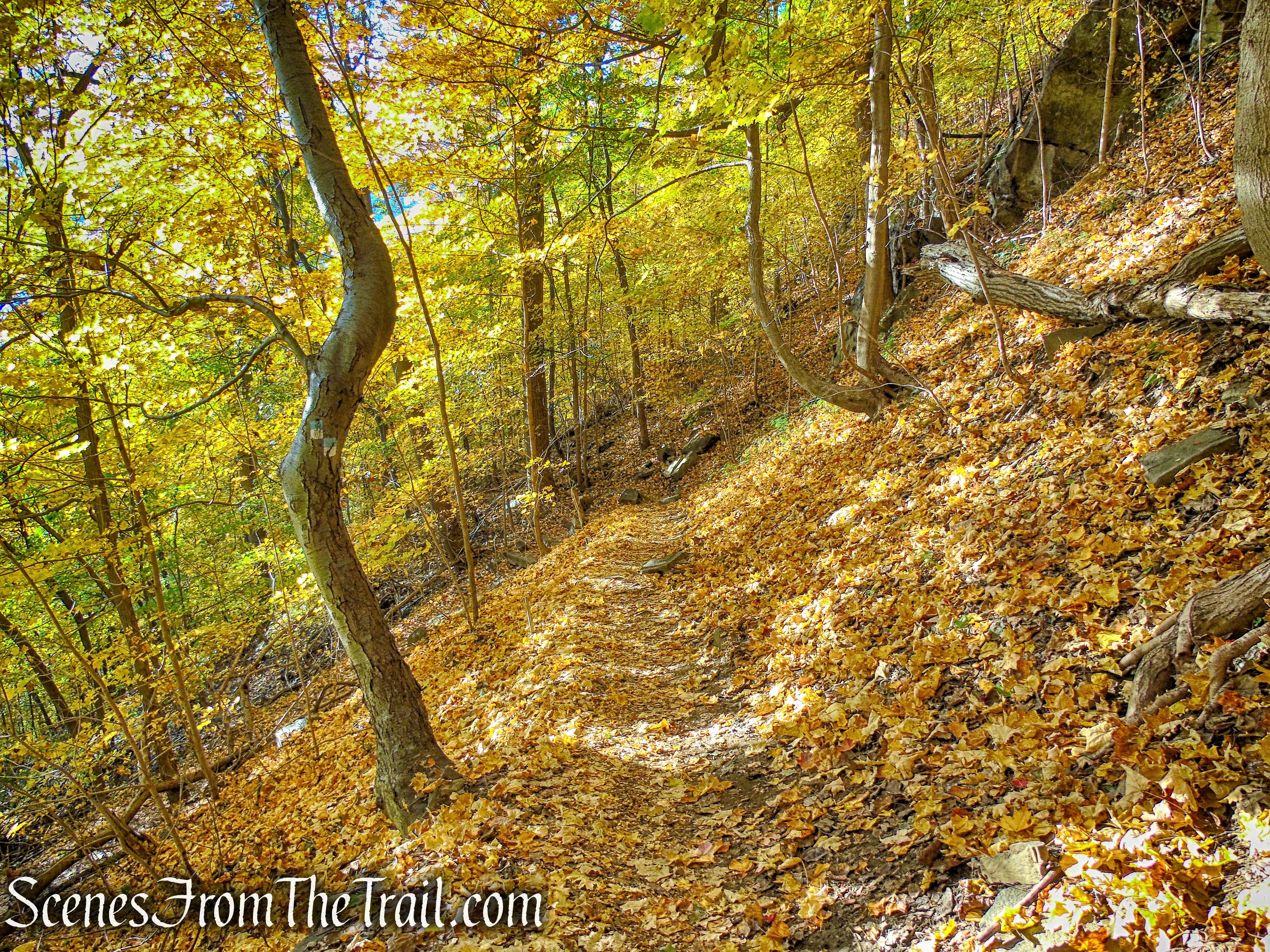 Forest View Trail - Palisades Interstate Park