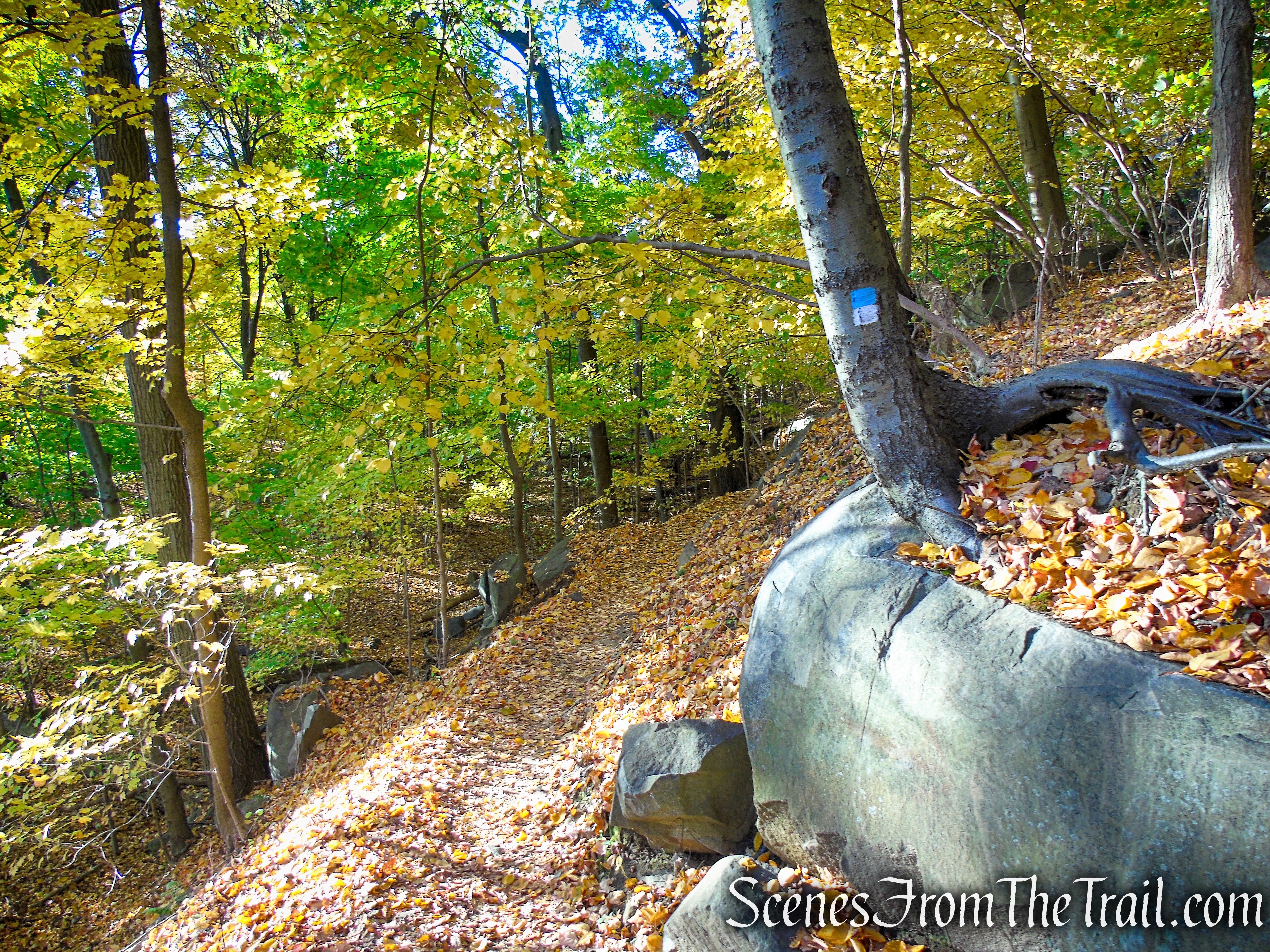 Forest View Trail - Palisades Interstate Park