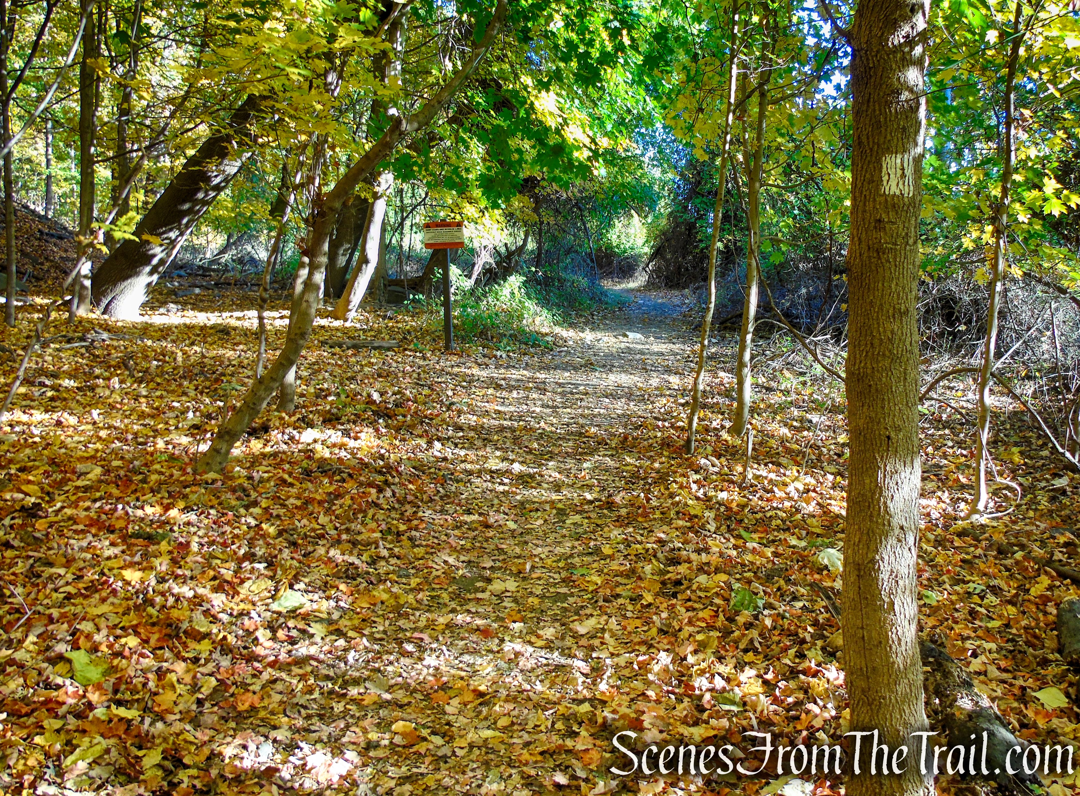 Shore Trail - Palisades Interstate Park